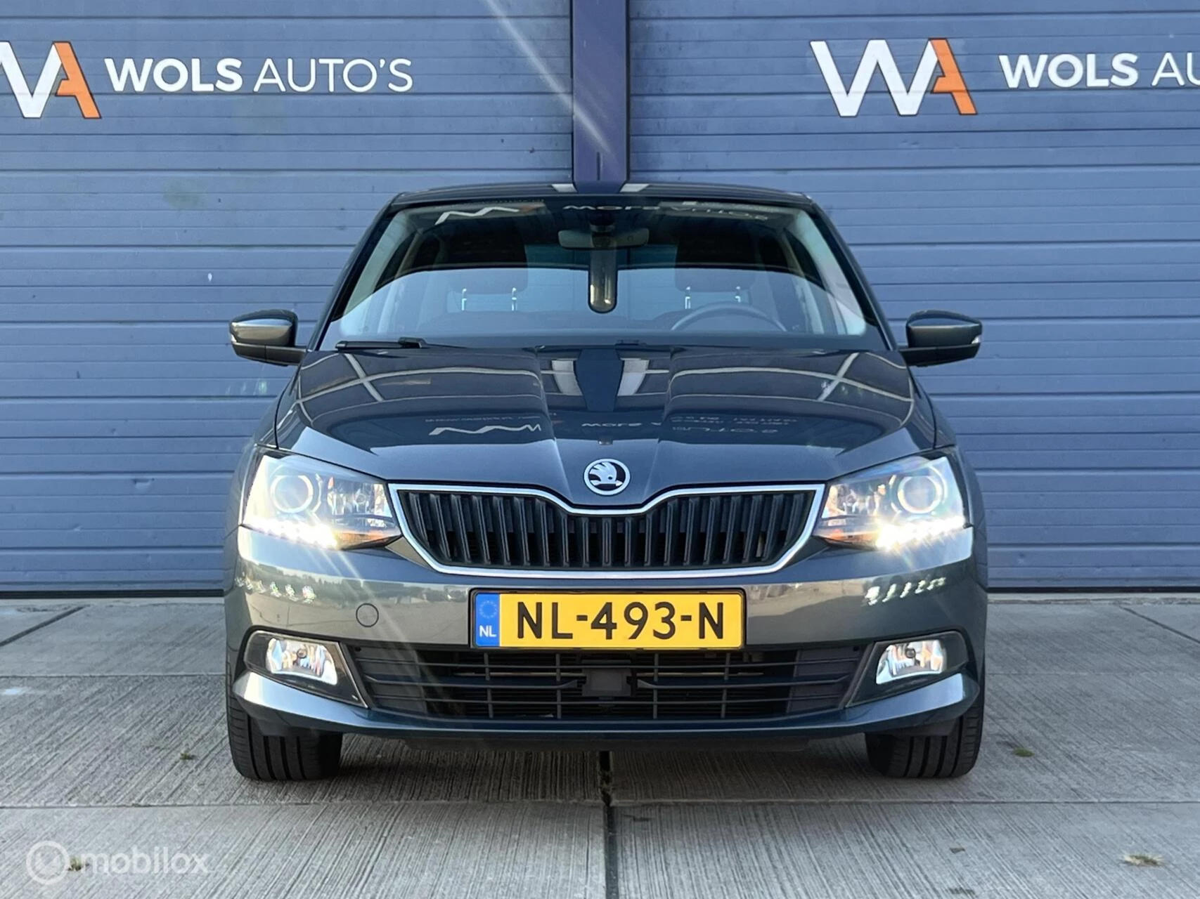 Hoofdafbeelding Škoda Fabia