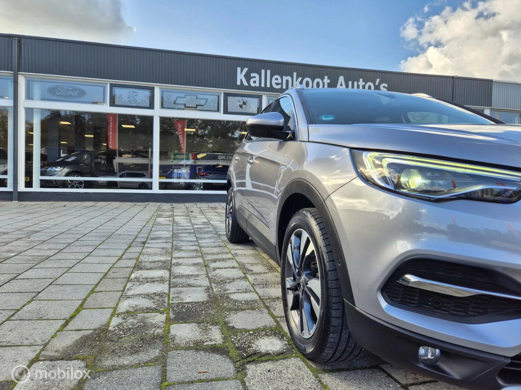 Hoofdafbeelding Opel Grandland X