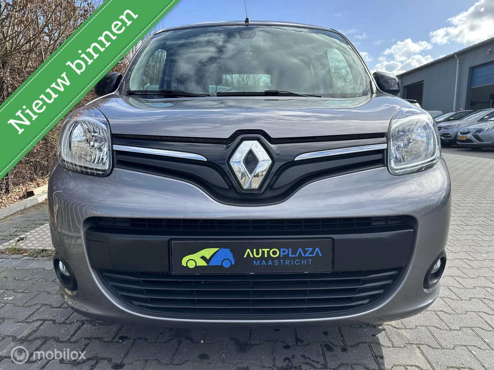Hoofdafbeelding Renault Kangoo