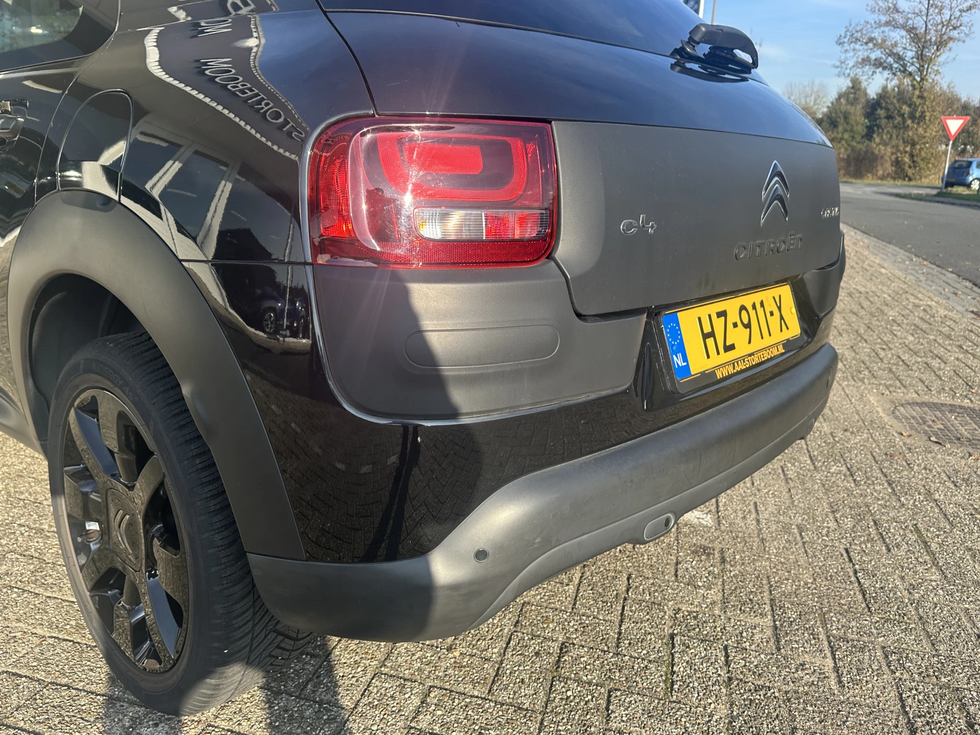 Hoofdafbeelding Citroën C4 Cactus