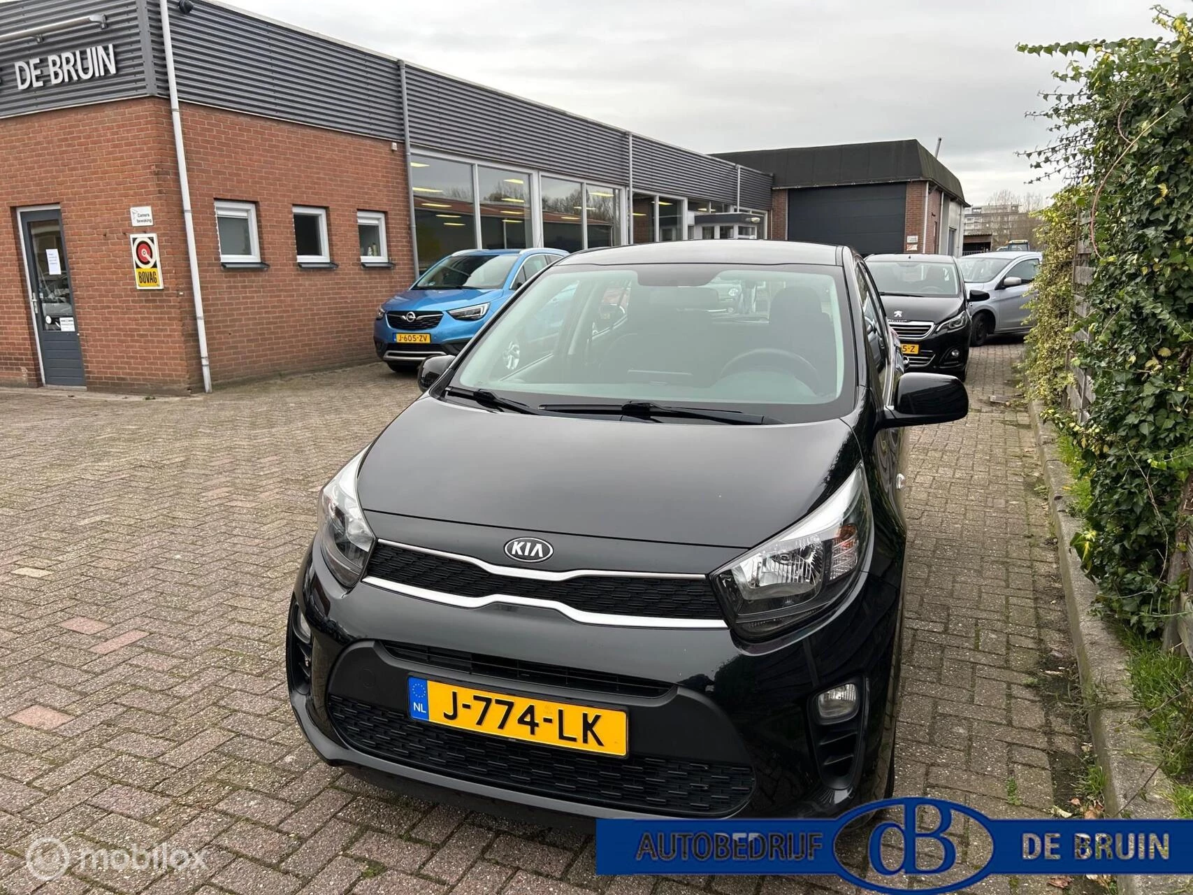 Hoofdafbeelding Kia Picanto