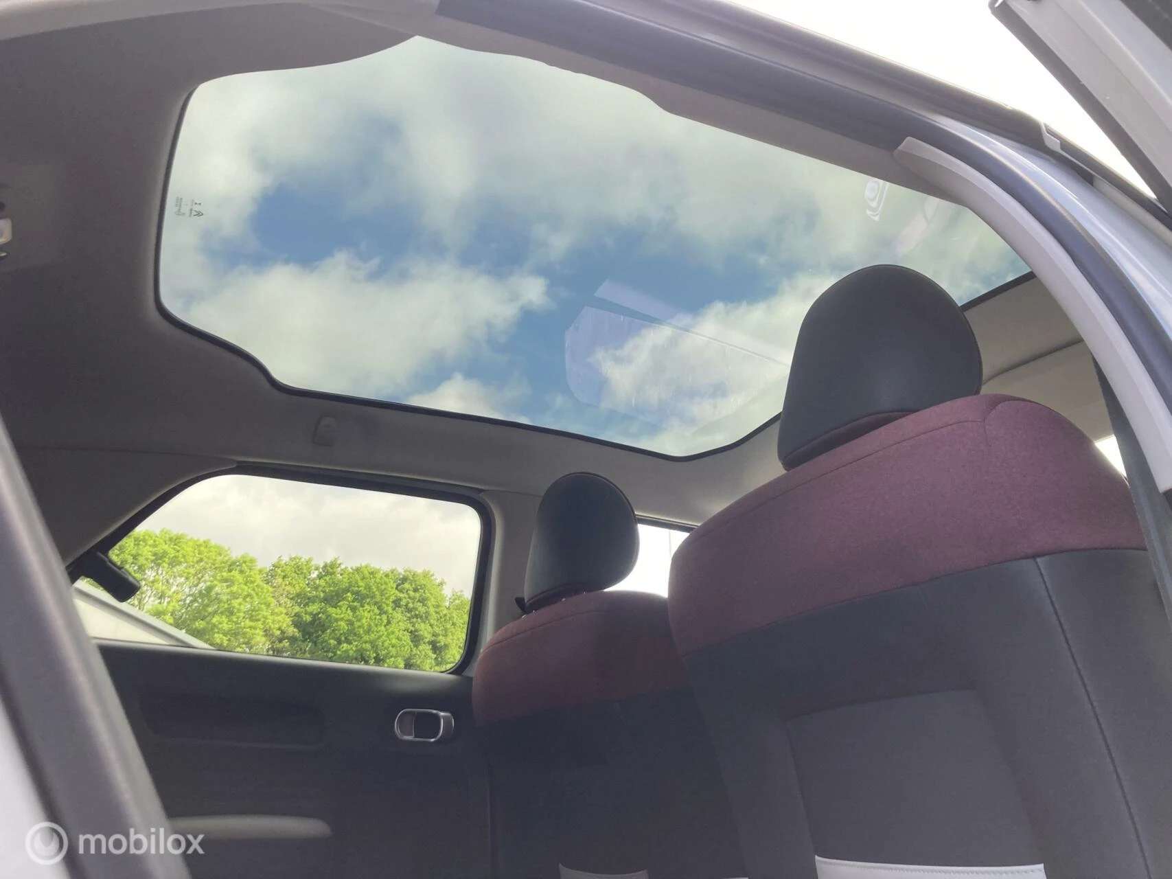 Hoofdafbeelding Citroën C4 Cactus