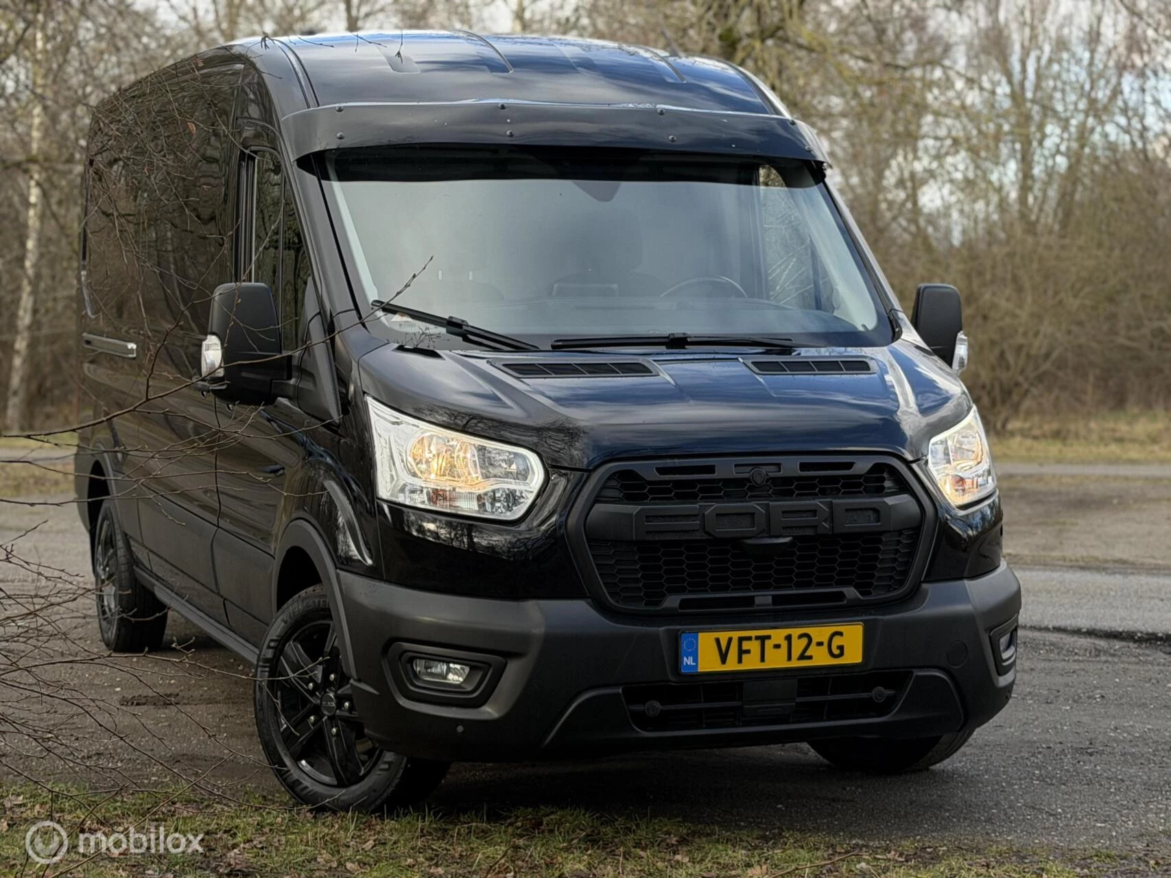 Hoofdafbeelding Ford Transit