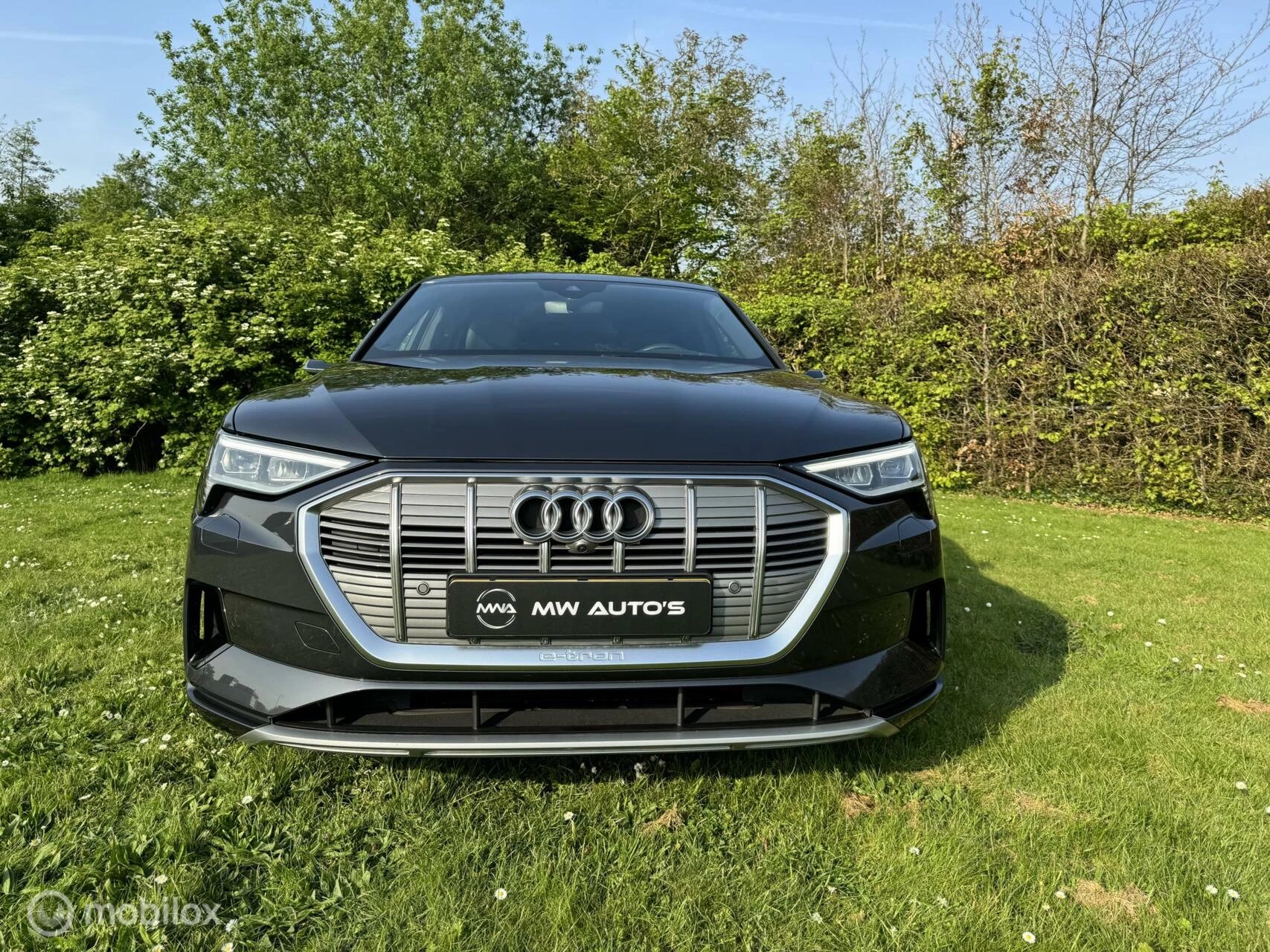 Hoofdafbeelding Audi e-tron