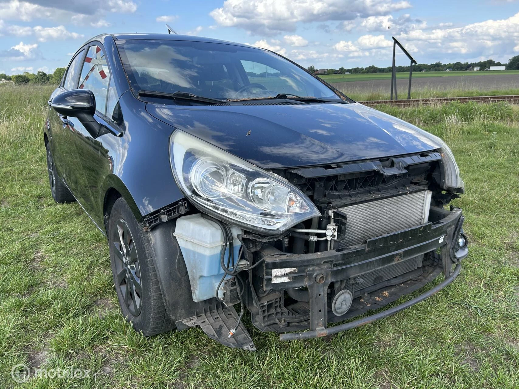 Hoofdafbeelding Kia Rio