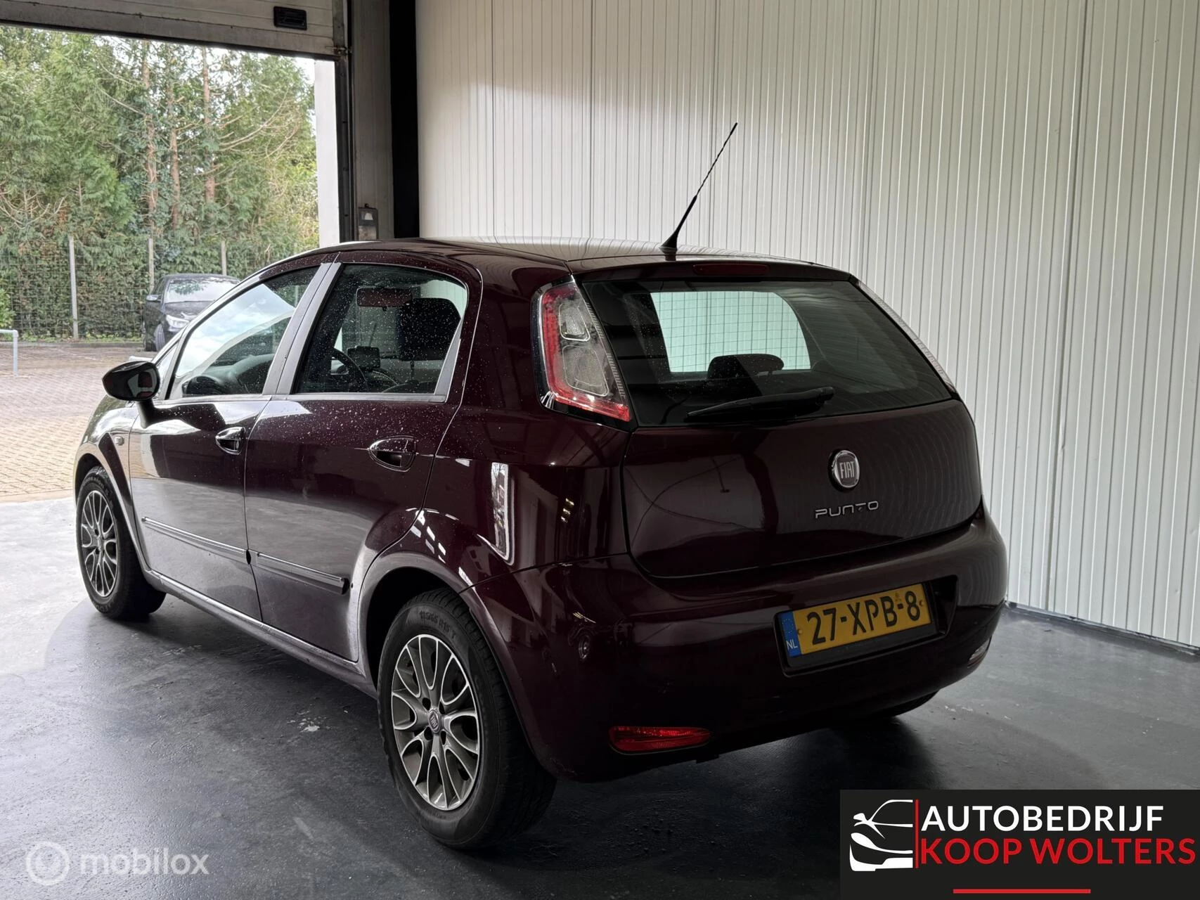 Hoofdafbeelding Fiat Punto