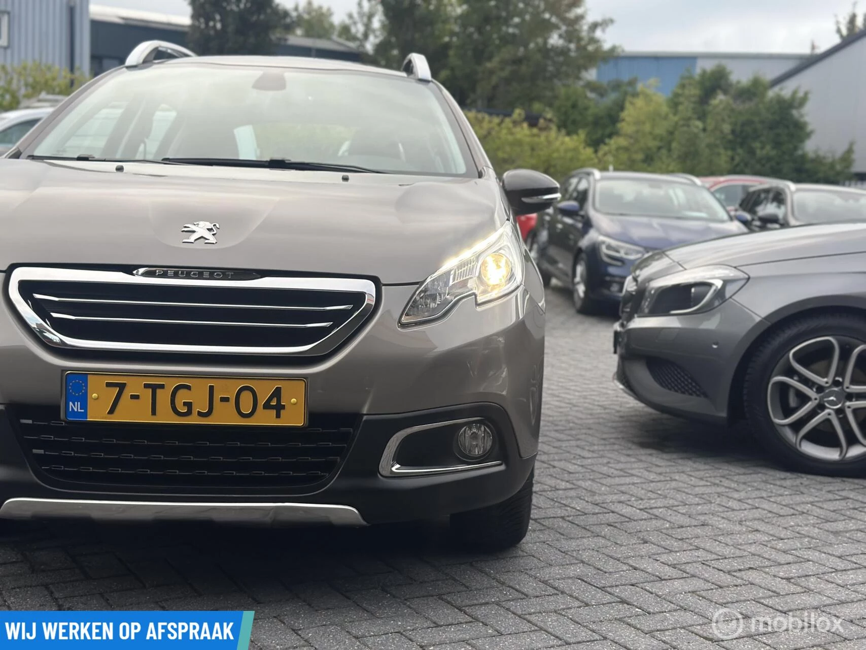 Hoofdafbeelding Peugeot 2008