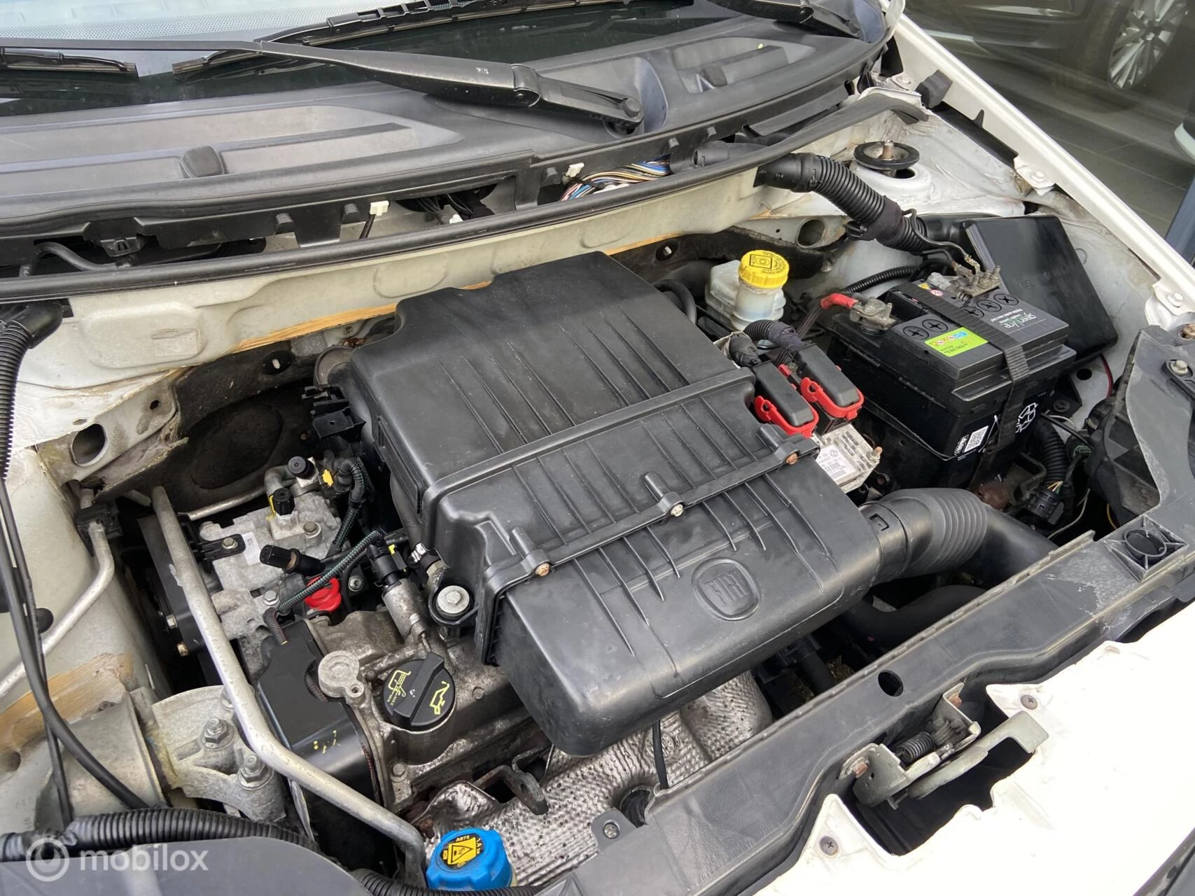 Hoofdafbeelding Fiat Panda