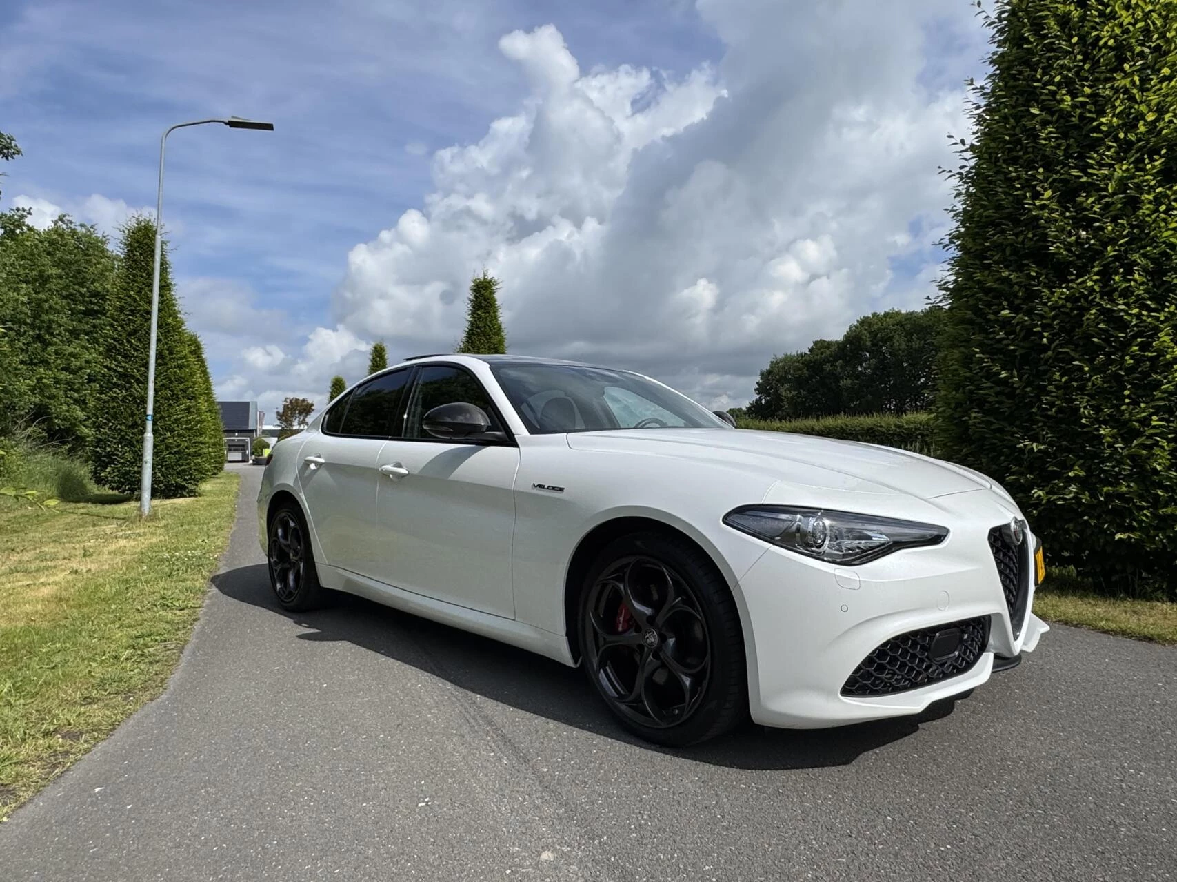 Hoofdafbeelding Alfa Romeo Giulia