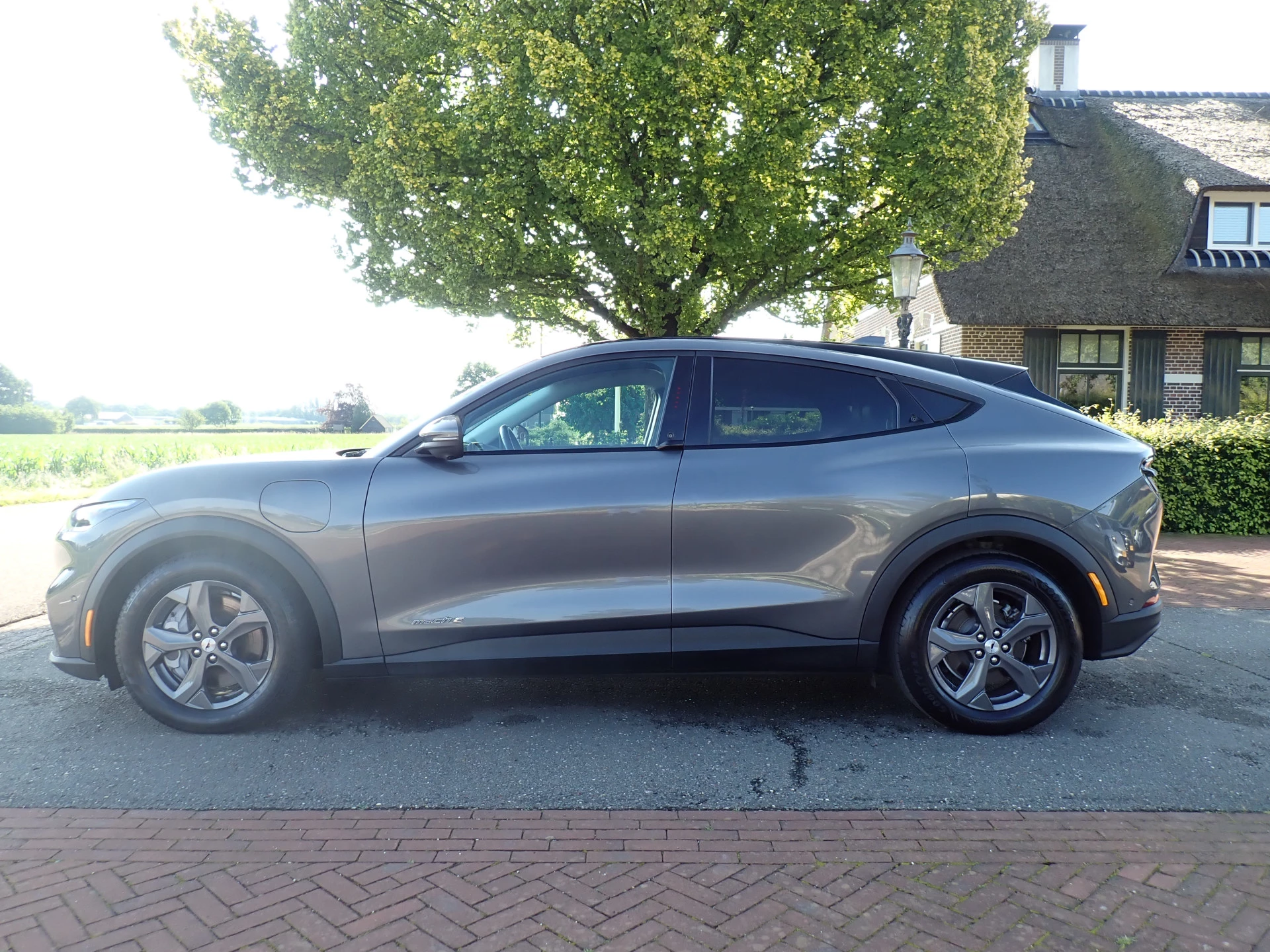 Hoofdafbeelding Ford Mustang Mach-E