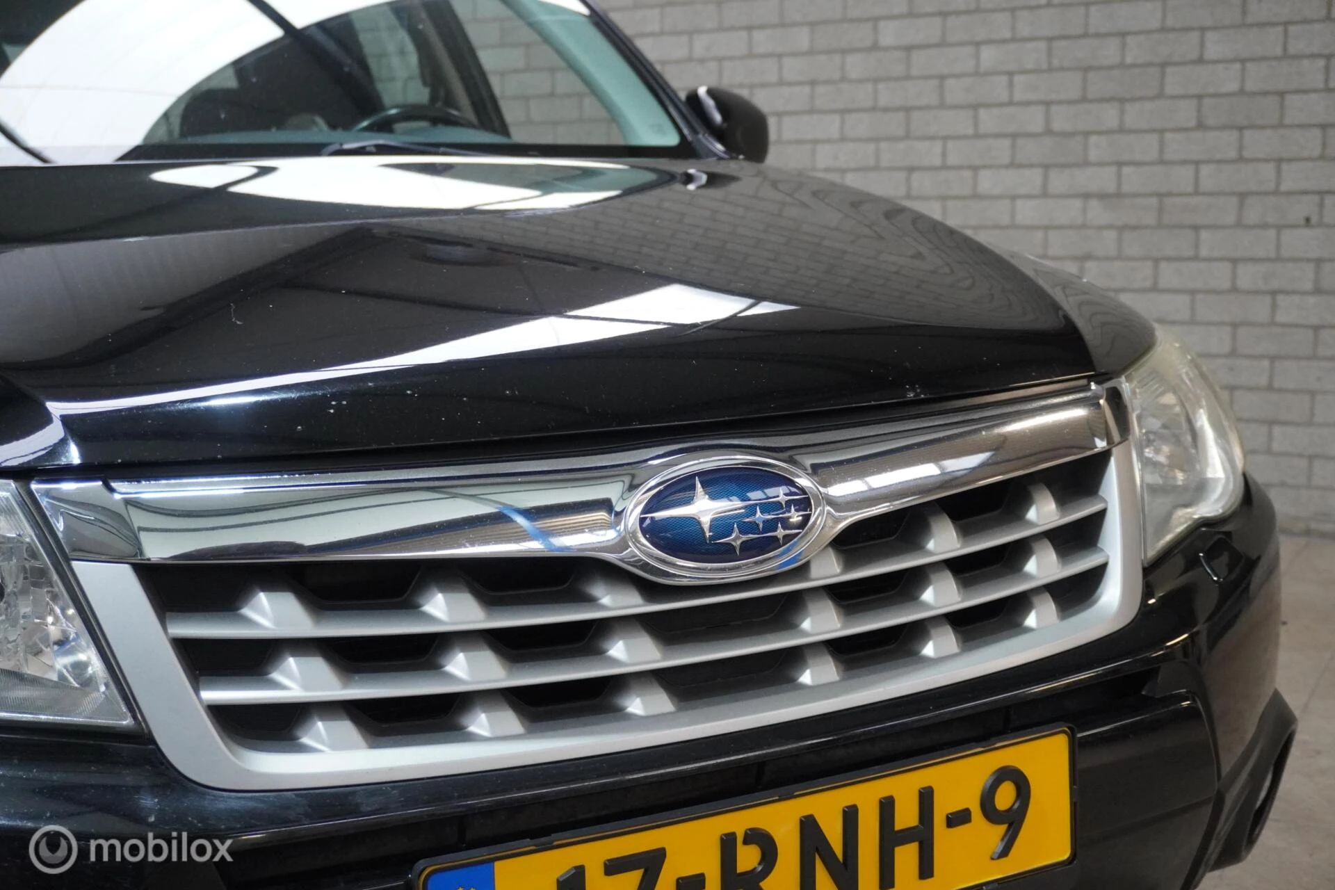 Hoofdafbeelding Subaru Forester