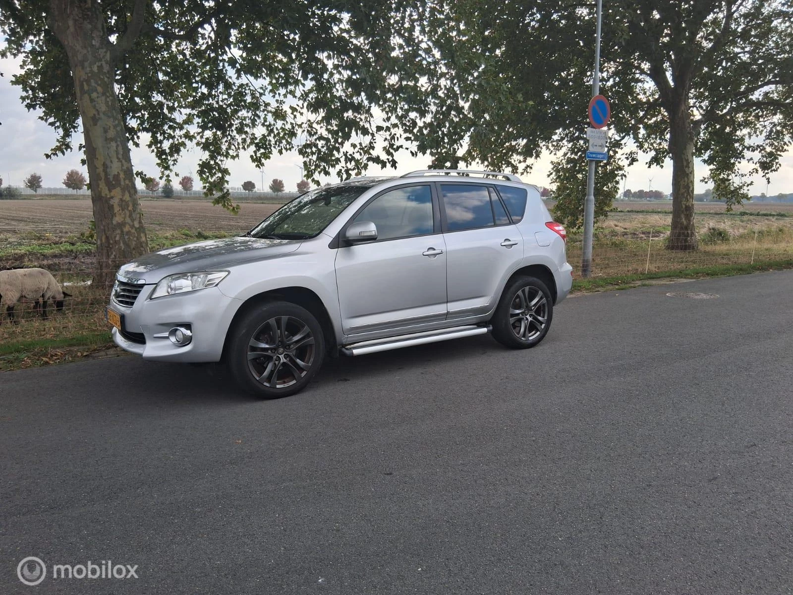 Hoofdafbeelding Toyota RAV4