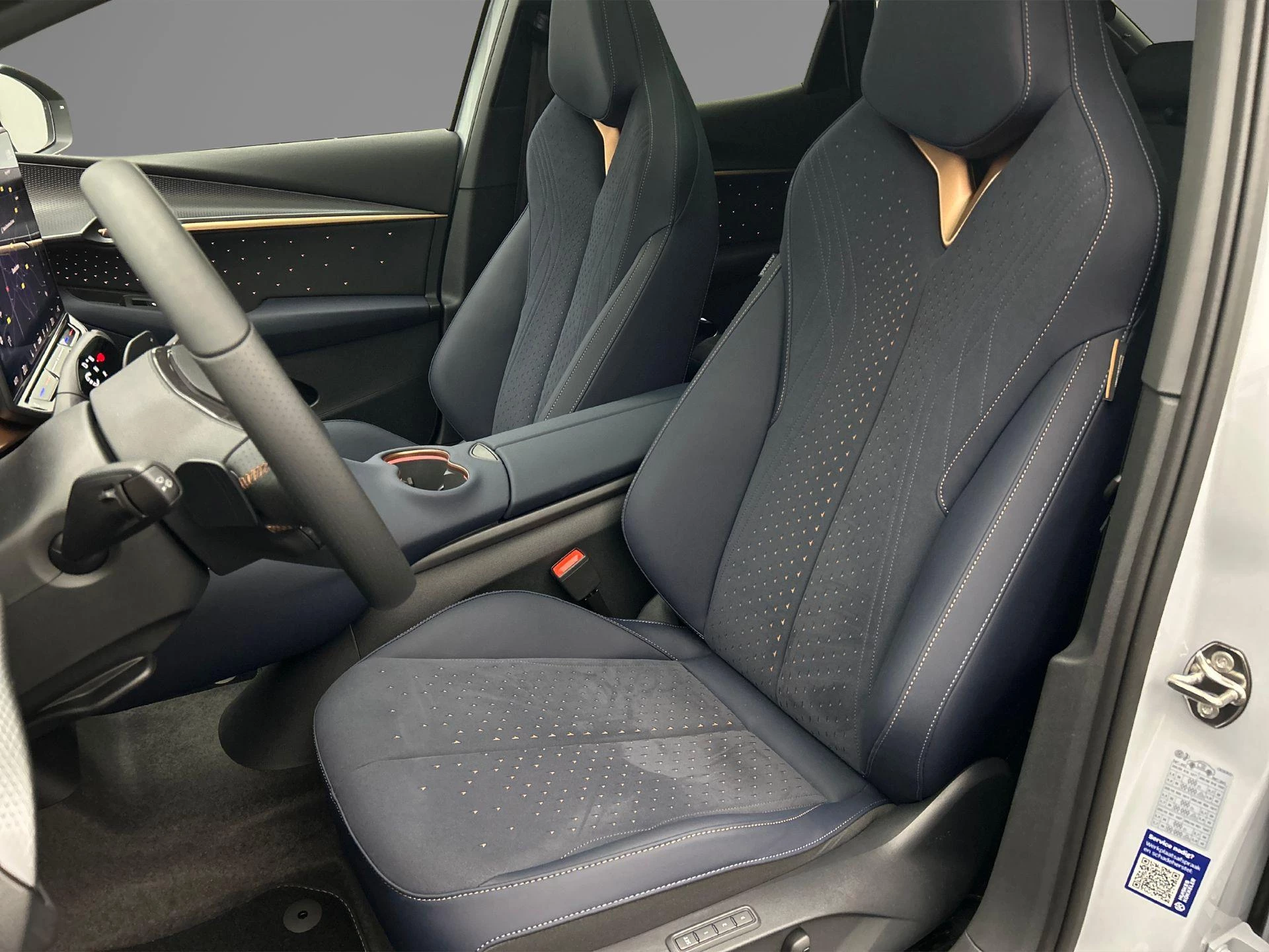 Hoofdafbeelding CUPRA Tavascan