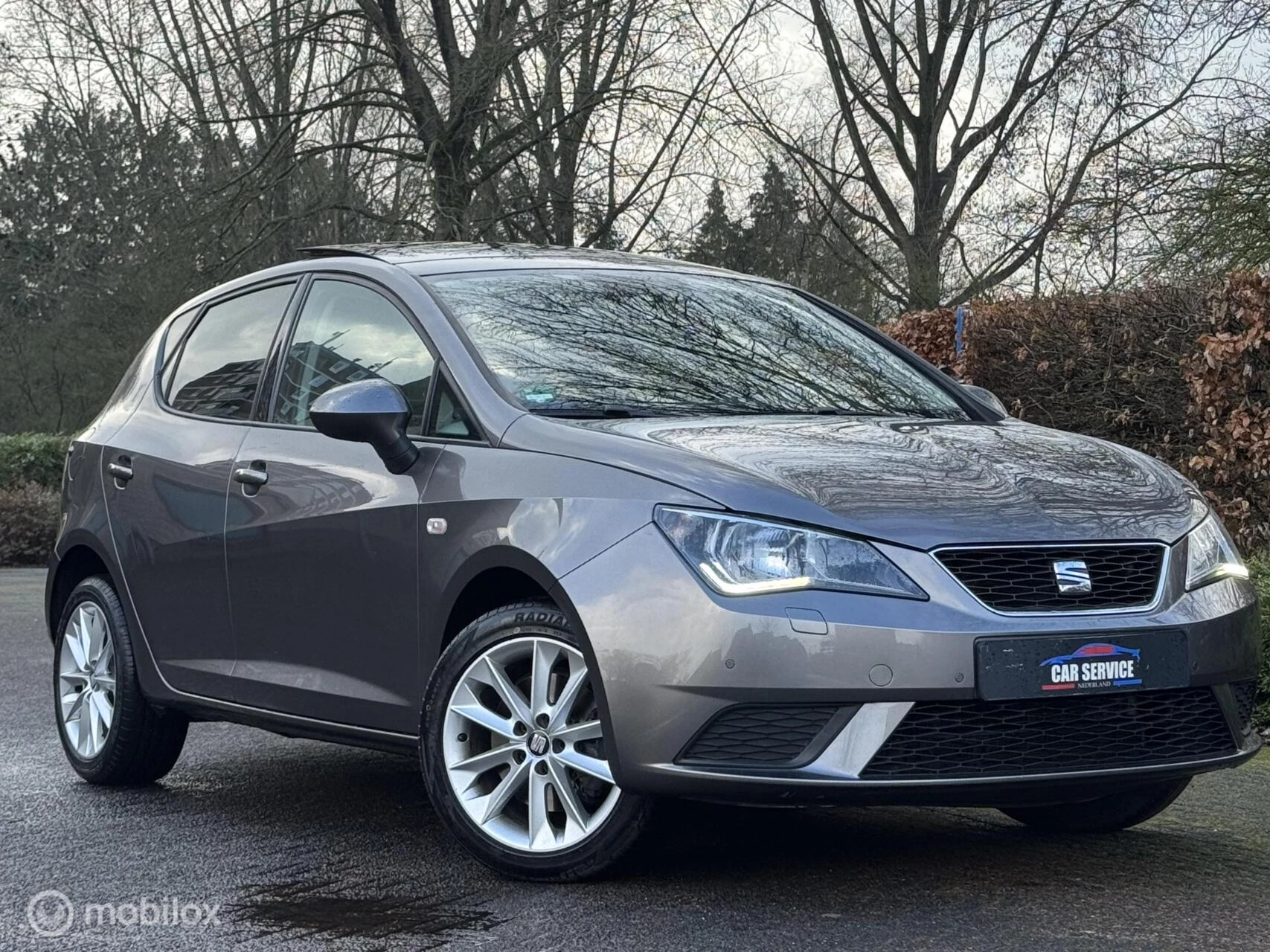 Hoofdafbeelding SEAT Ibiza