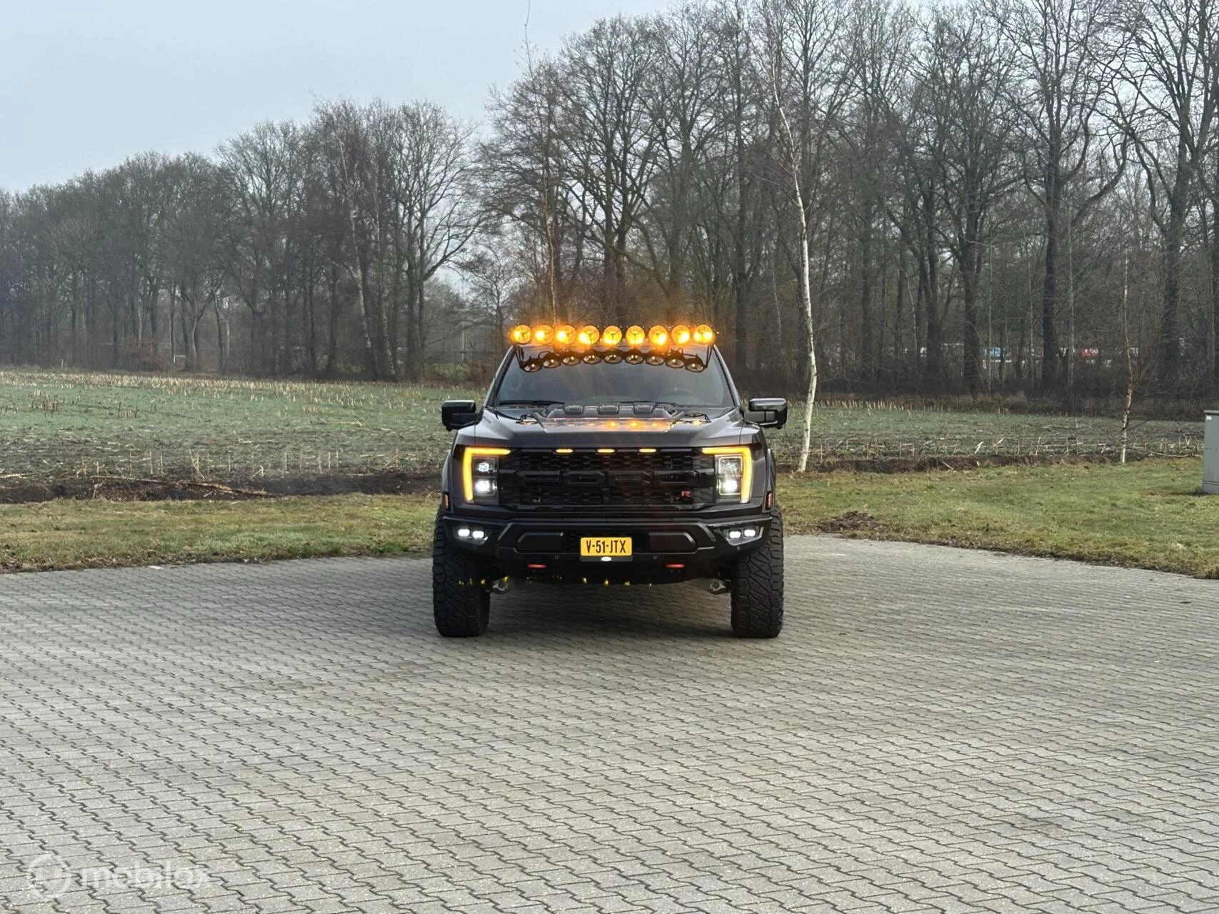Hoofdafbeelding Ford F-150