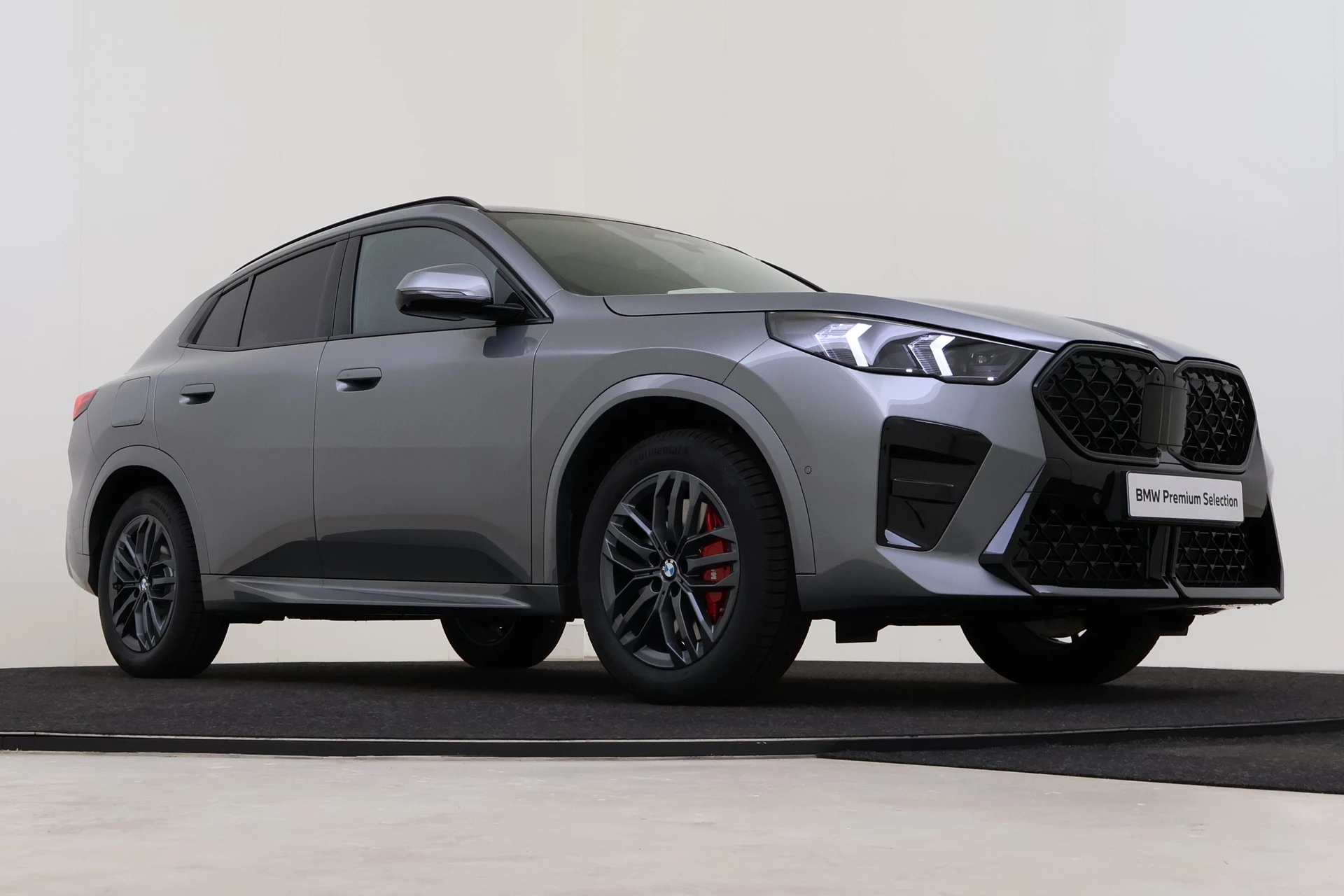 Hoofdafbeelding BMW X2