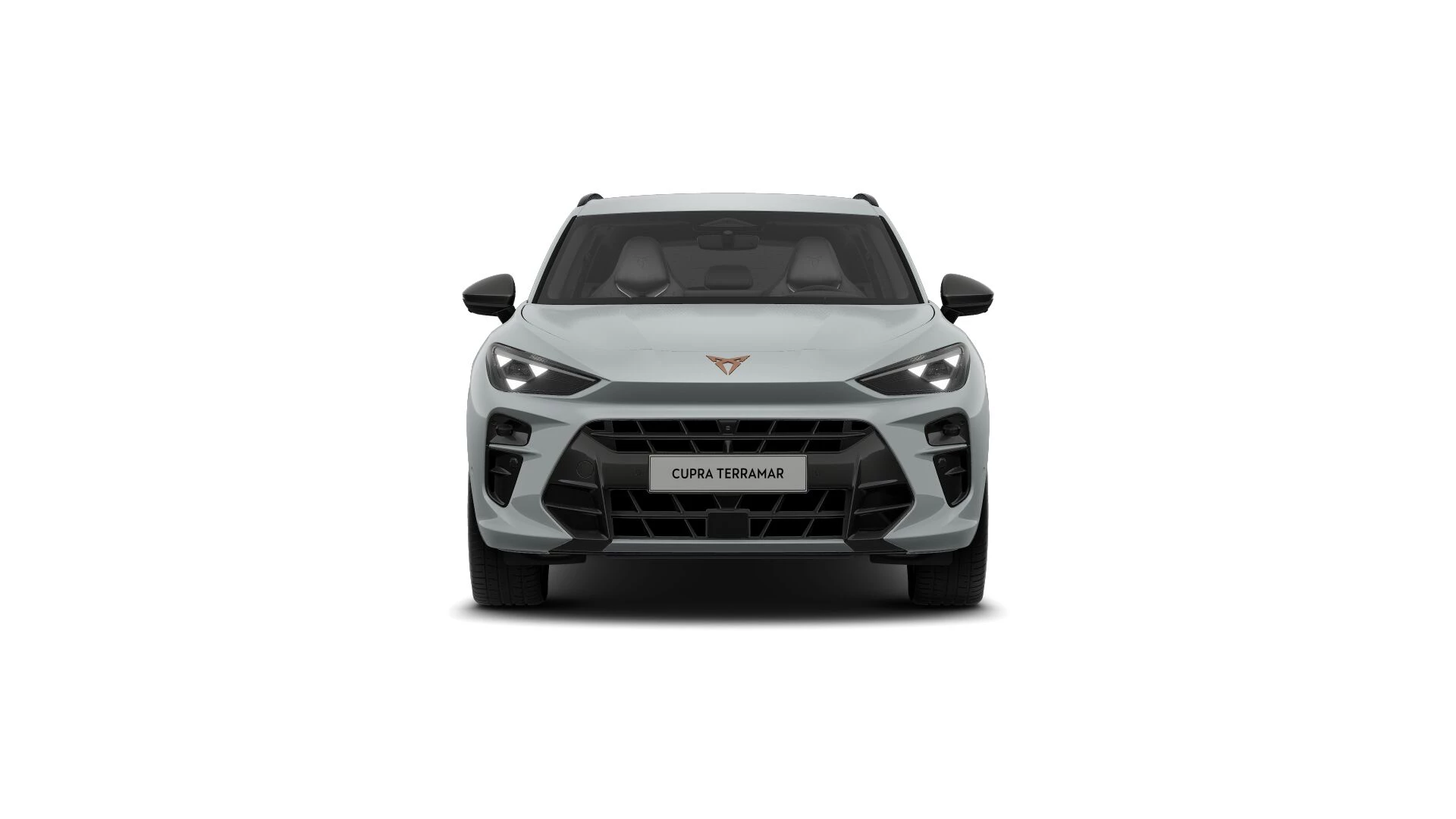 Hoofdafbeelding CUPRA Terramar