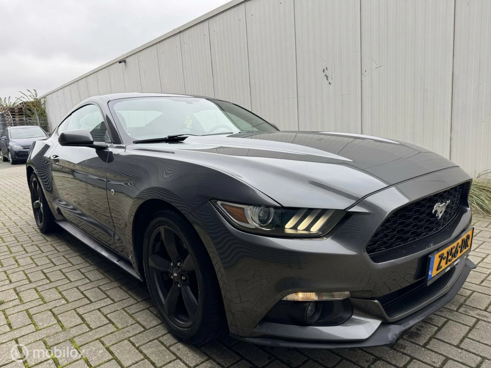 Hoofdafbeelding Ford Mustang