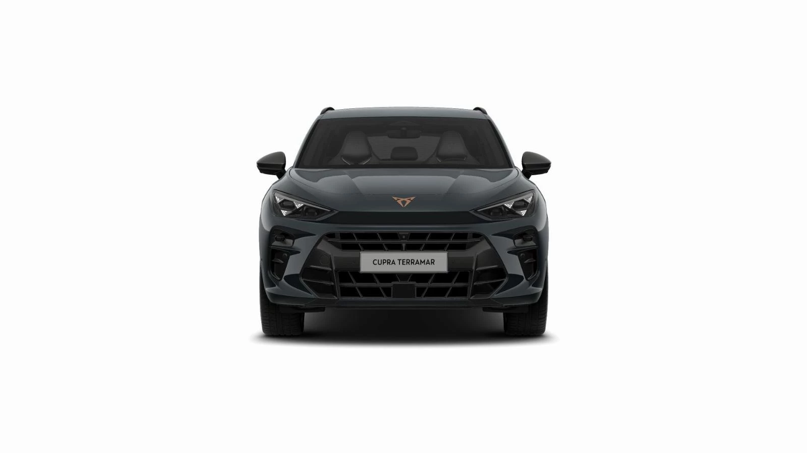 Hoofdafbeelding CUPRA Terramar
