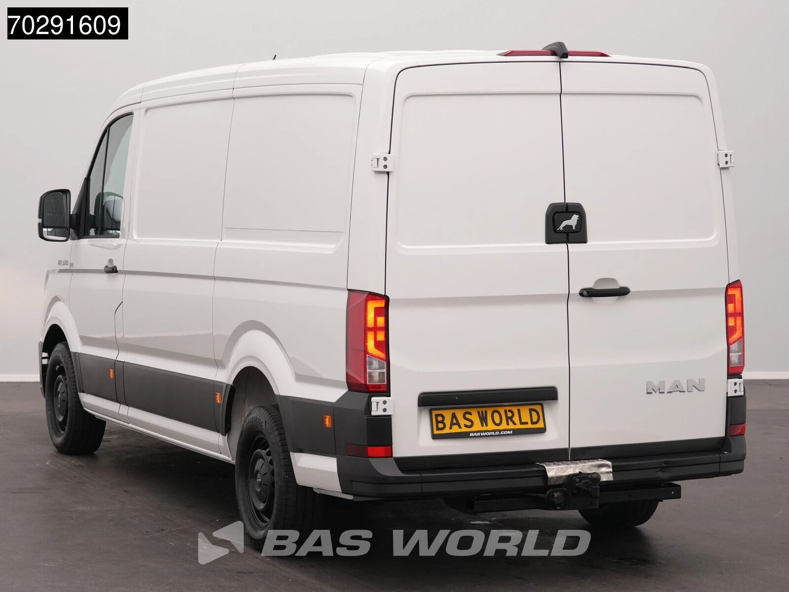 Hoofdafbeelding MAN TGE