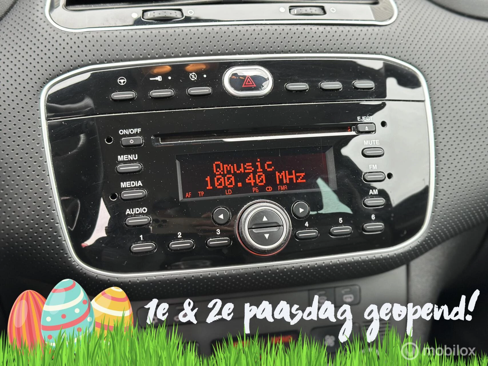 Hoofdafbeelding Fiat Punto