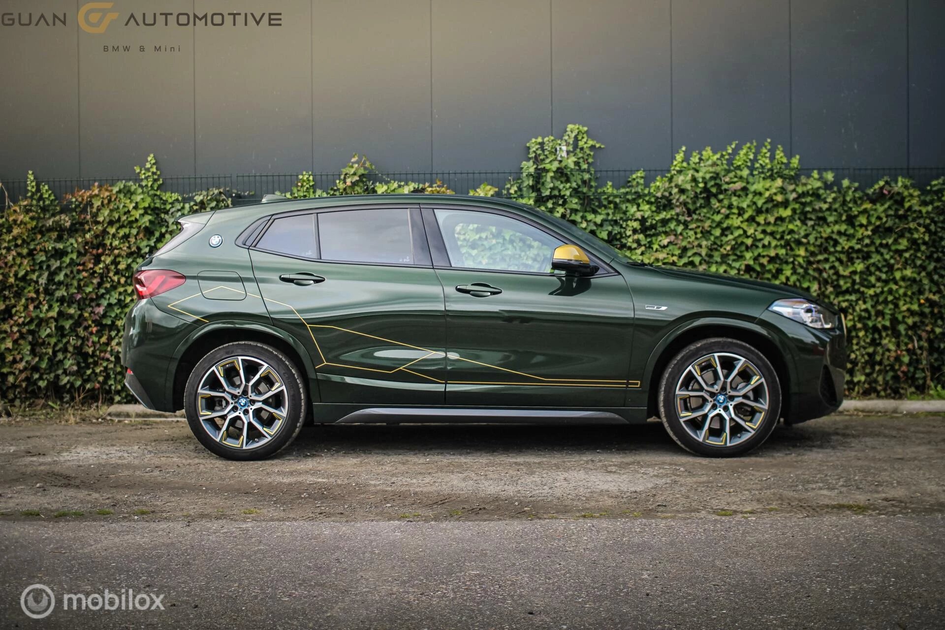 Hoofdafbeelding BMW X2