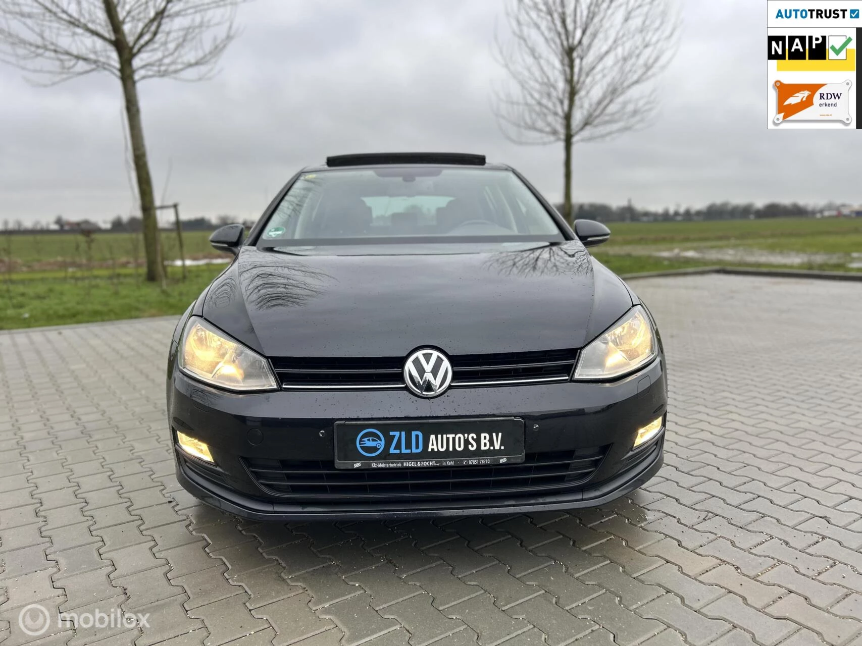 Hoofdafbeelding Volkswagen Golf