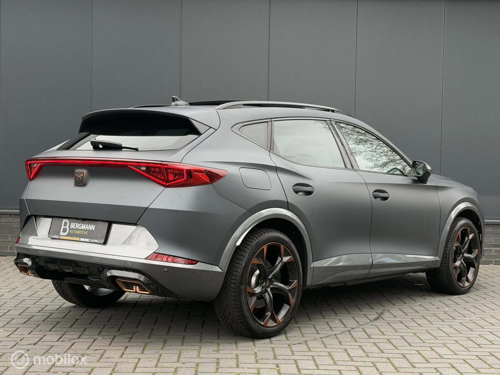 Hoofdafbeelding CUPRA Formentor