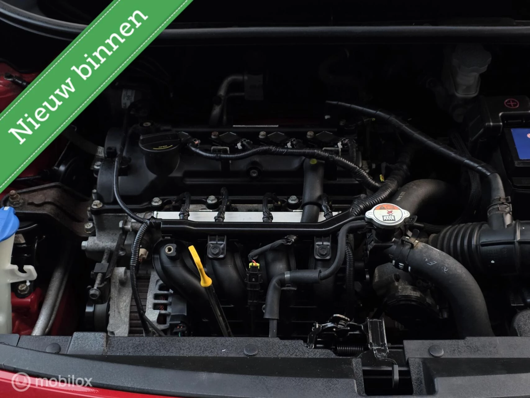 Hoofdafbeelding Kia Rio