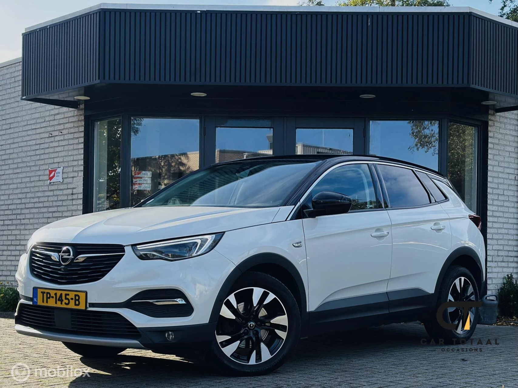 Hoofdafbeelding Opel Grandland X
