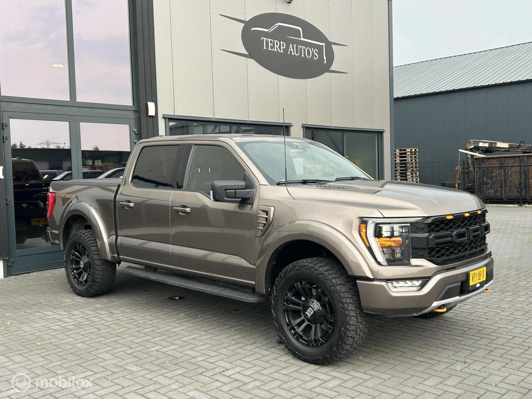 Hoofdafbeelding Ford F-150