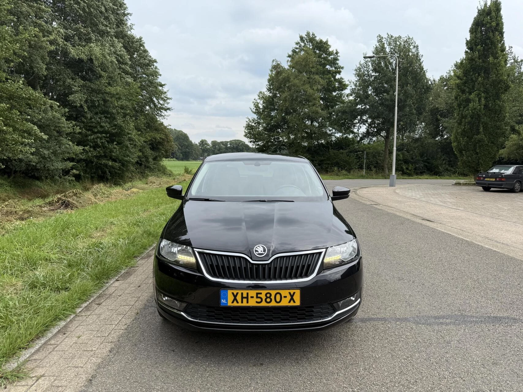 Hoofdafbeelding Škoda Rapid