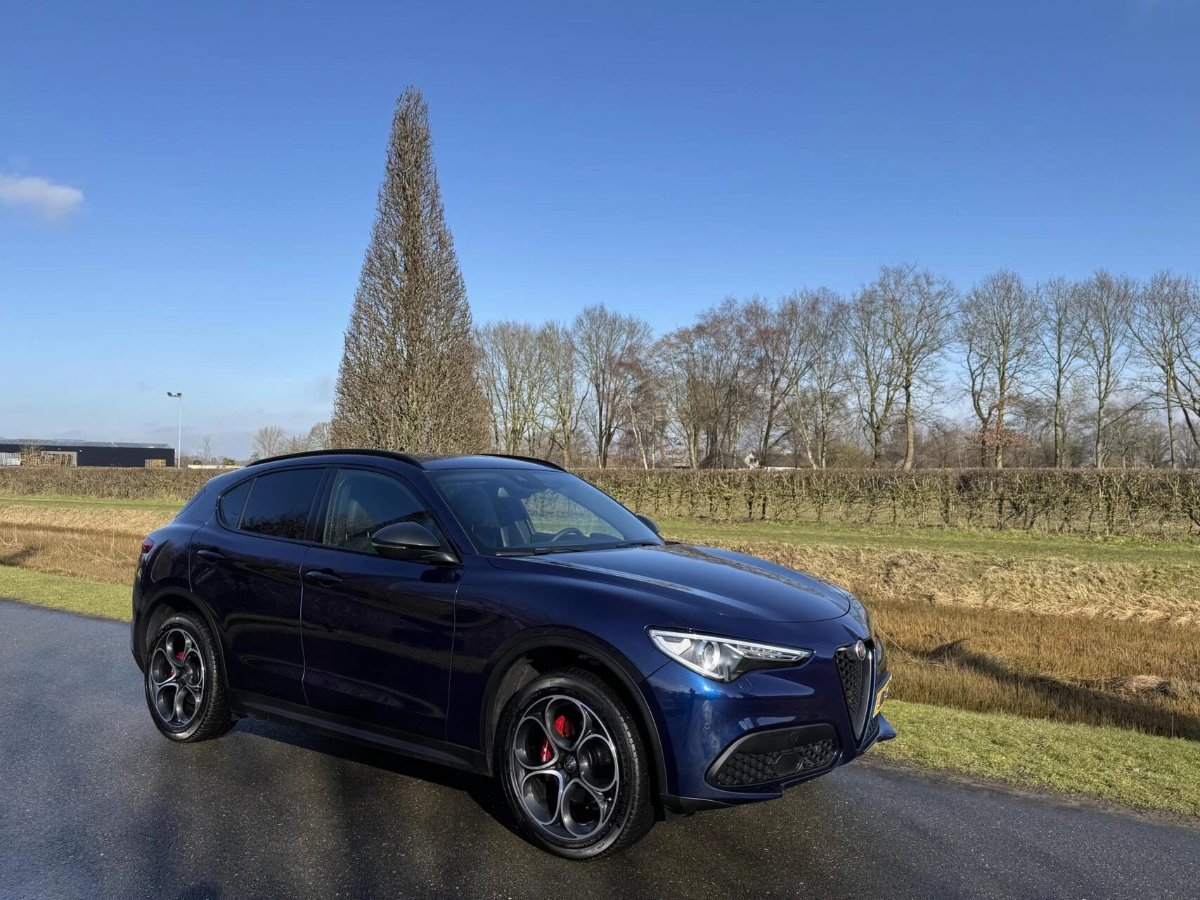 Hoofdafbeelding Alfa Romeo Stelvio