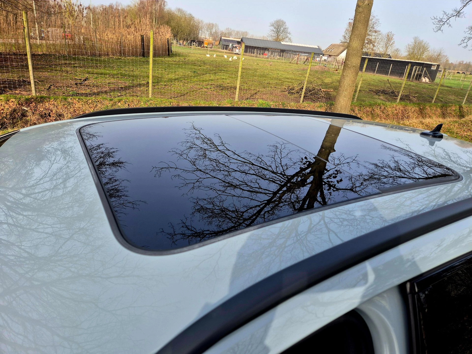 Hoofdafbeelding Audi RS4