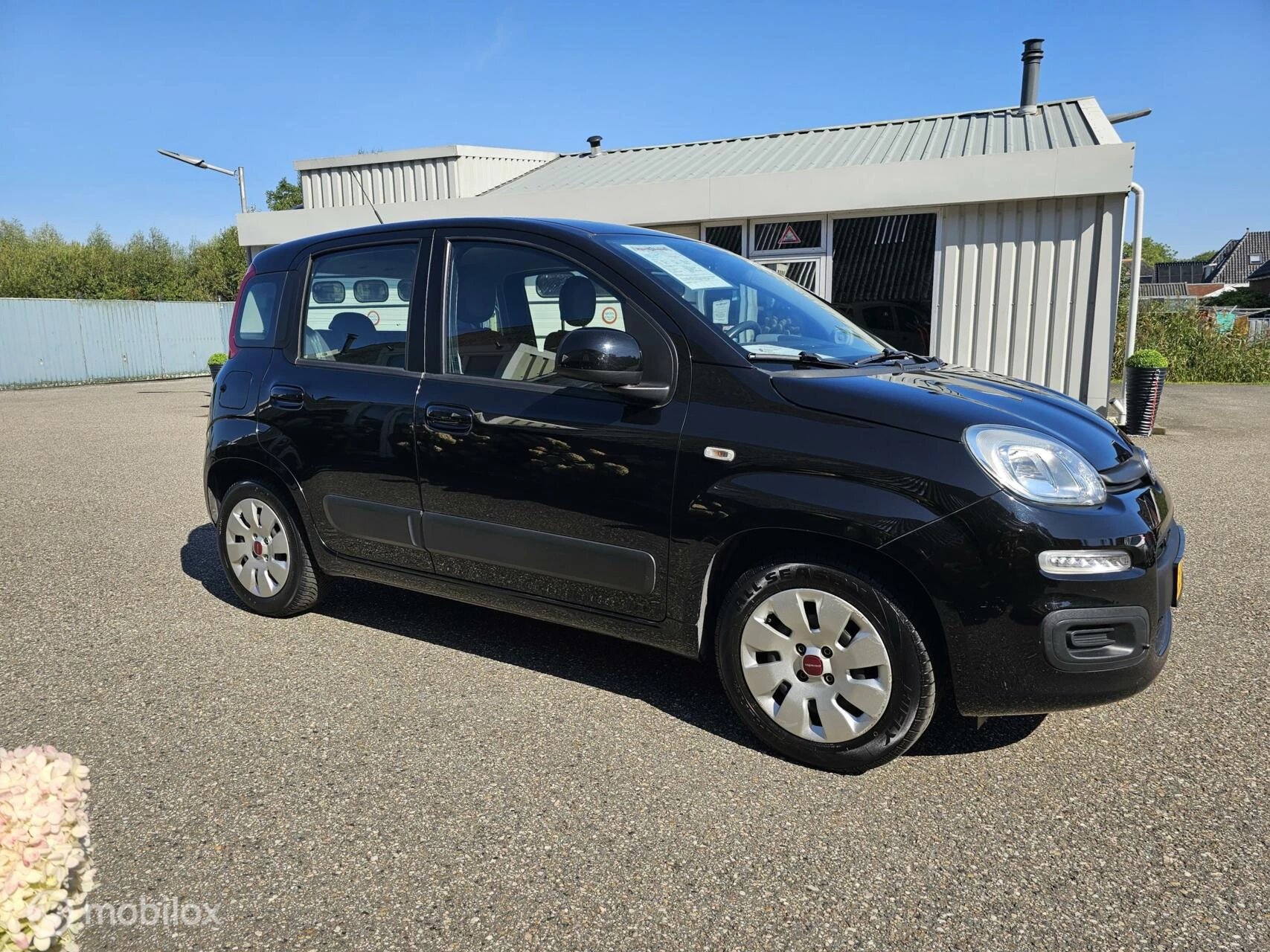 Hoofdafbeelding Fiat Panda