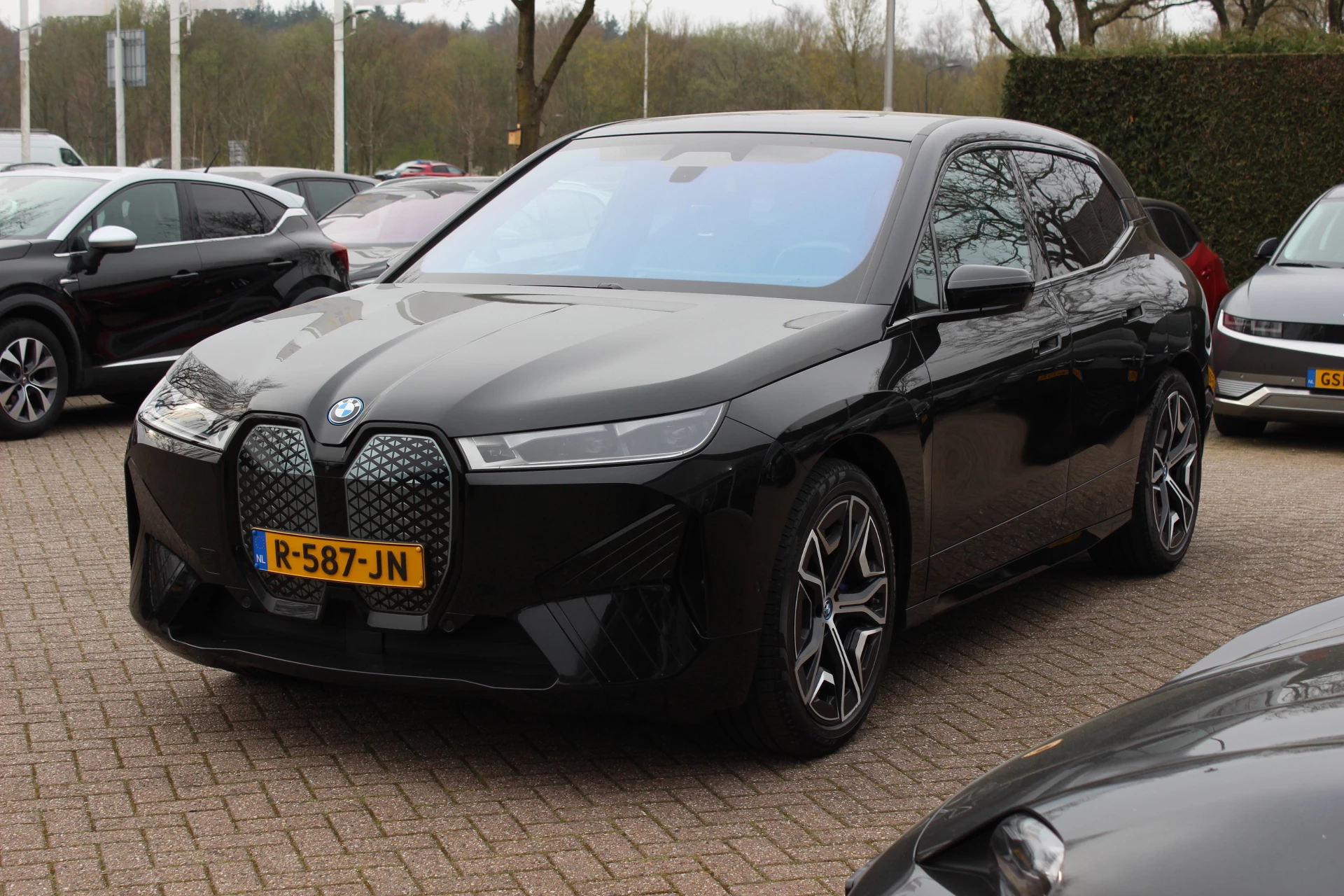 Hoofdafbeelding BMW iX