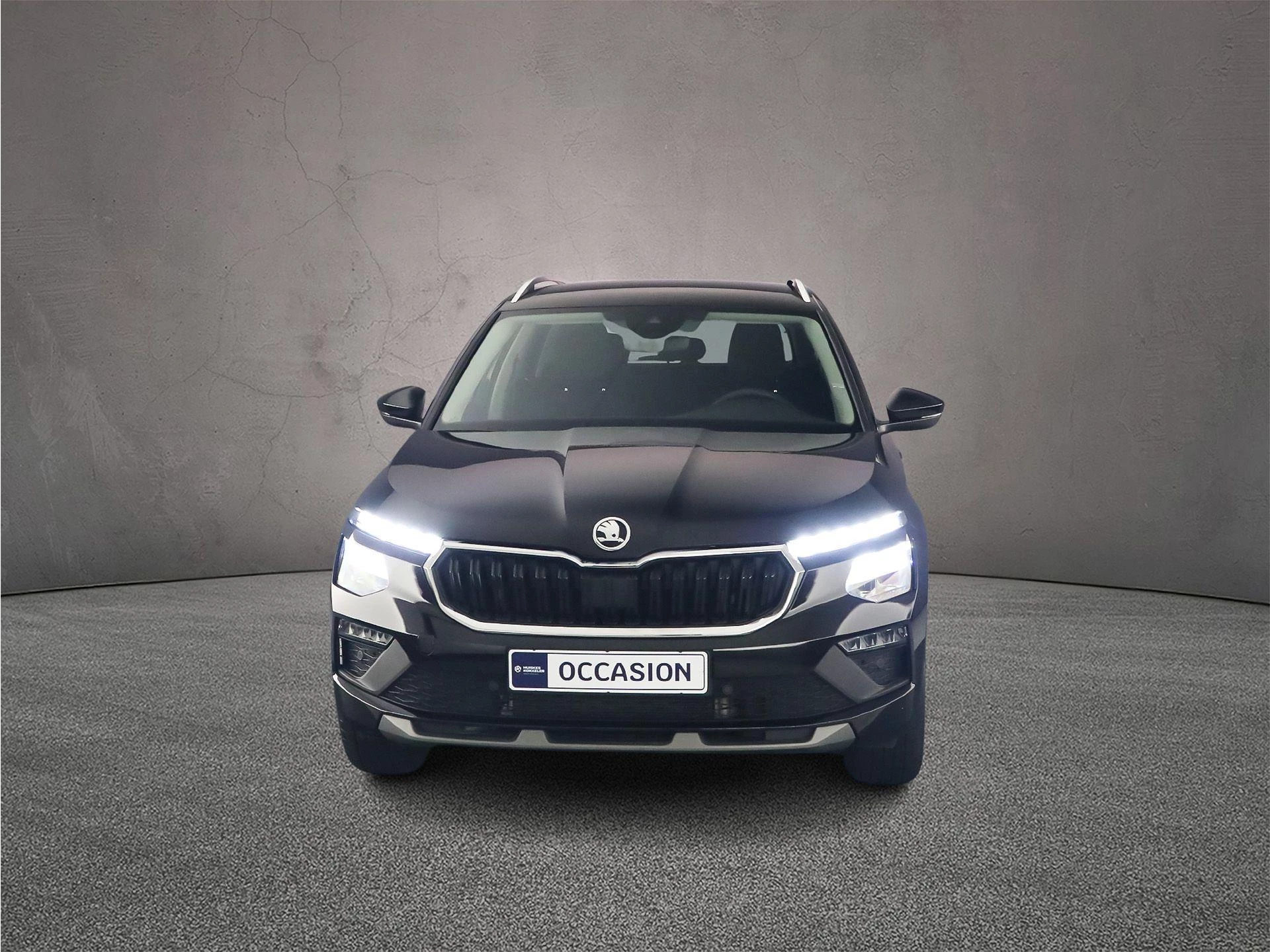 Hoofdafbeelding Škoda Kamiq