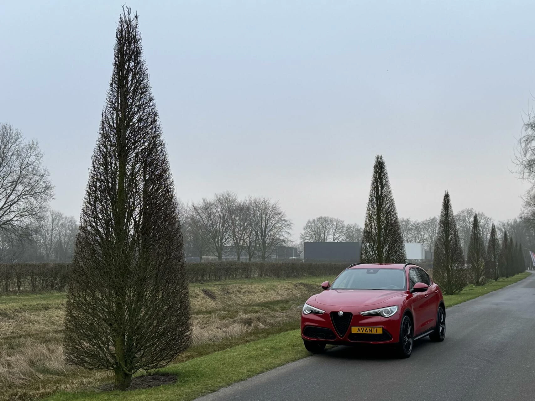 Hoofdafbeelding Alfa Romeo Stelvio