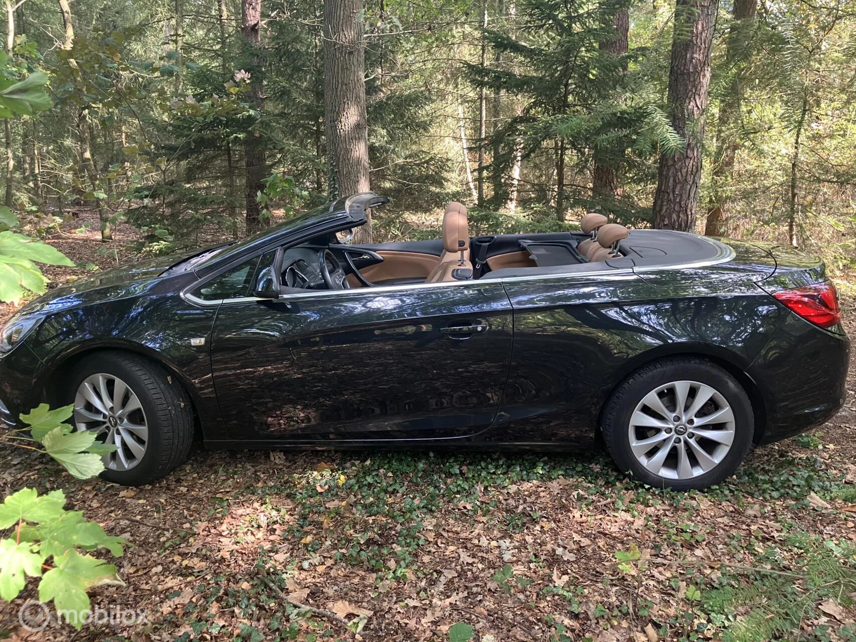 Hoofdafbeelding Opel Cascada