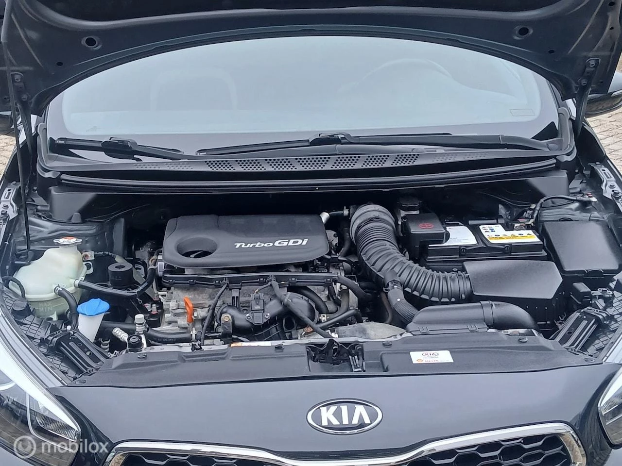 Hoofdafbeelding Kia cee'd