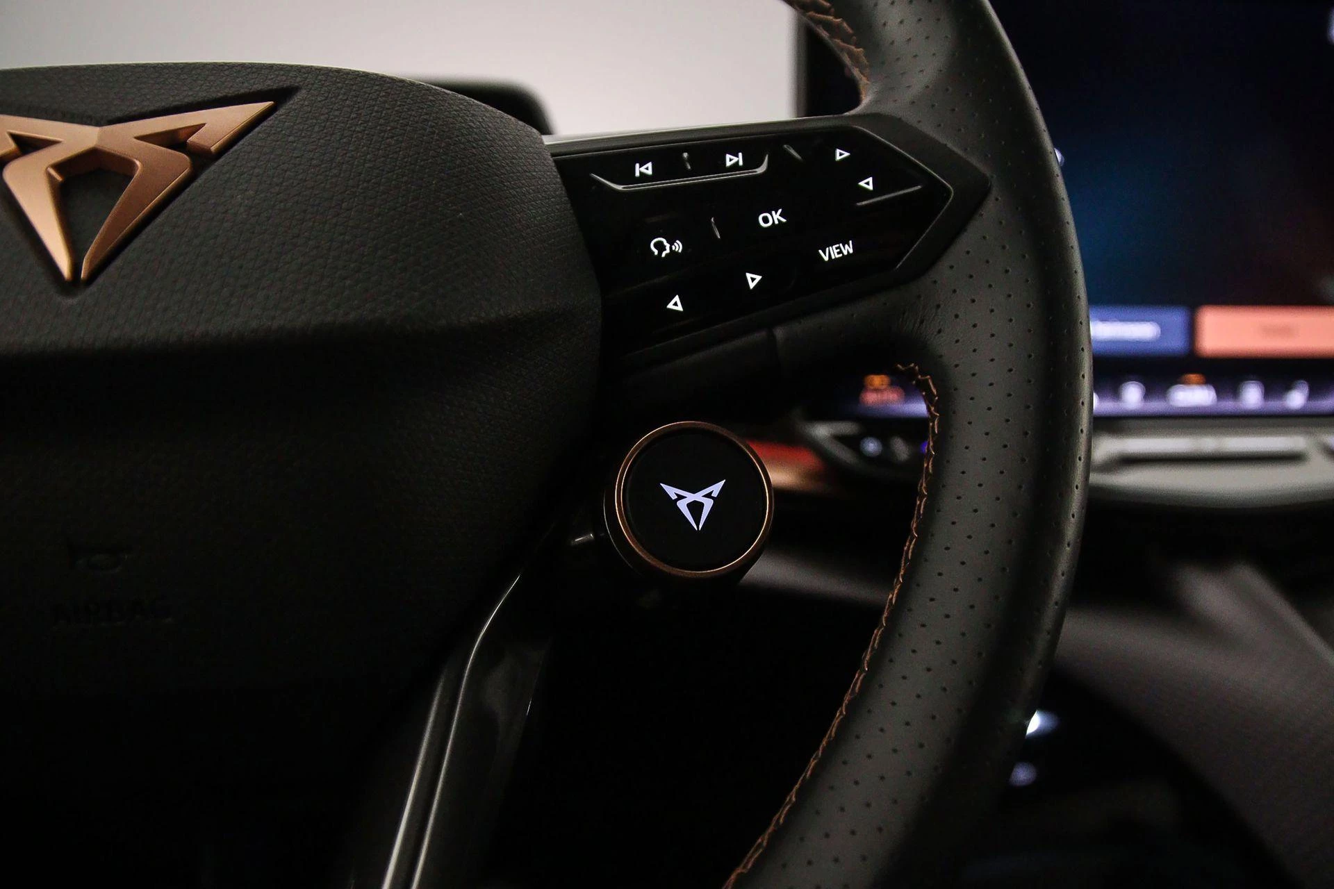 Hoofdafbeelding CUPRA Tavascan