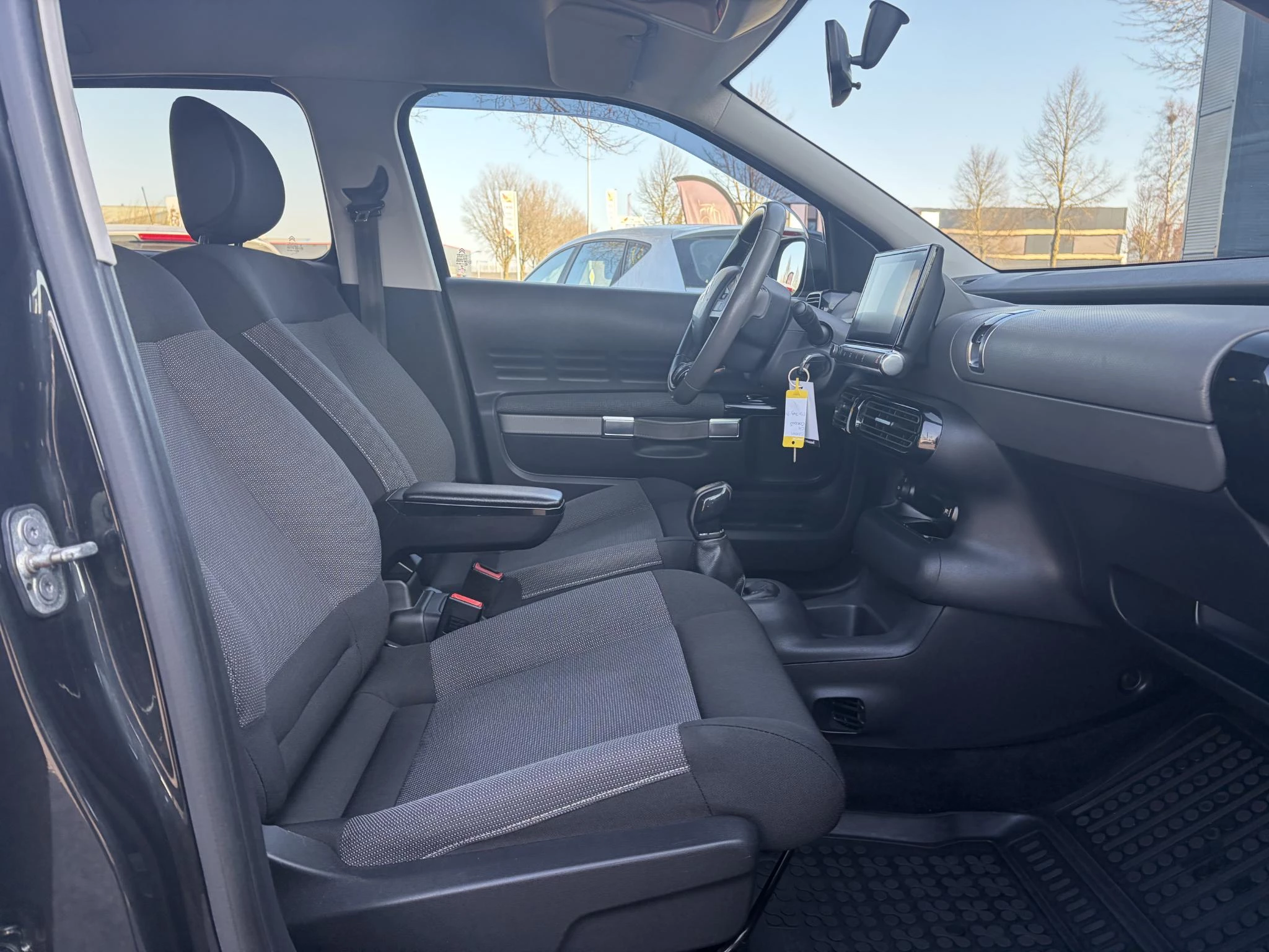 Hoofdafbeelding Citroën C4 Cactus