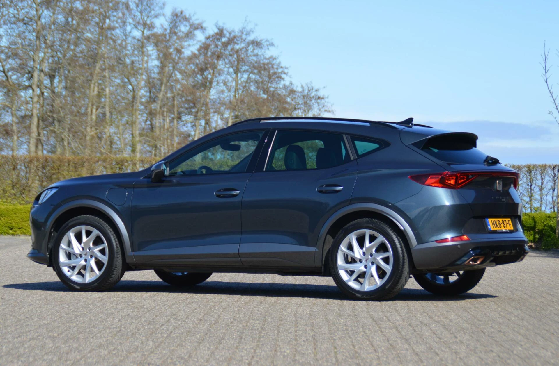 Hoofdafbeelding CUPRA Formentor