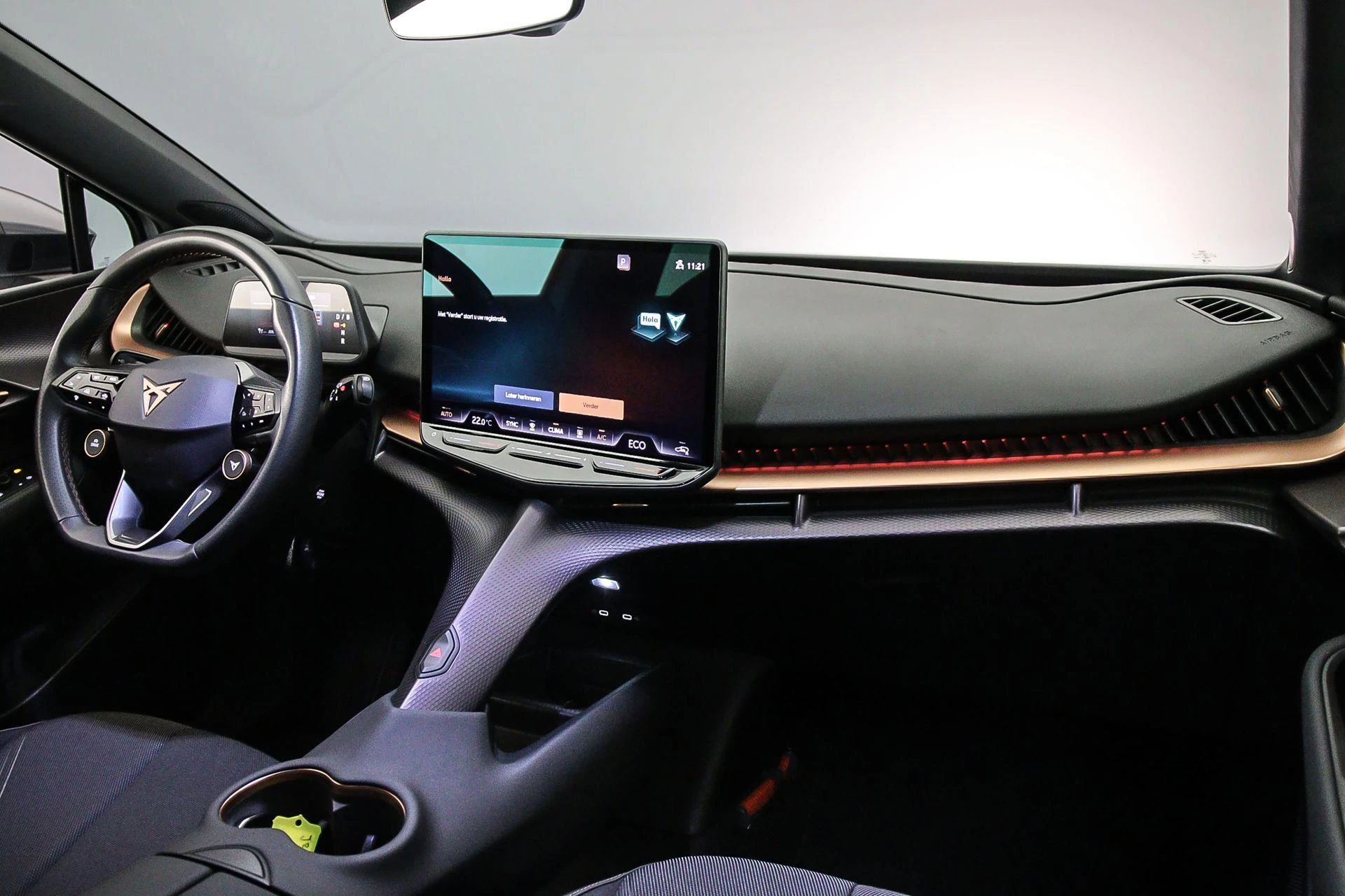 Hoofdafbeelding CUPRA Tavascan