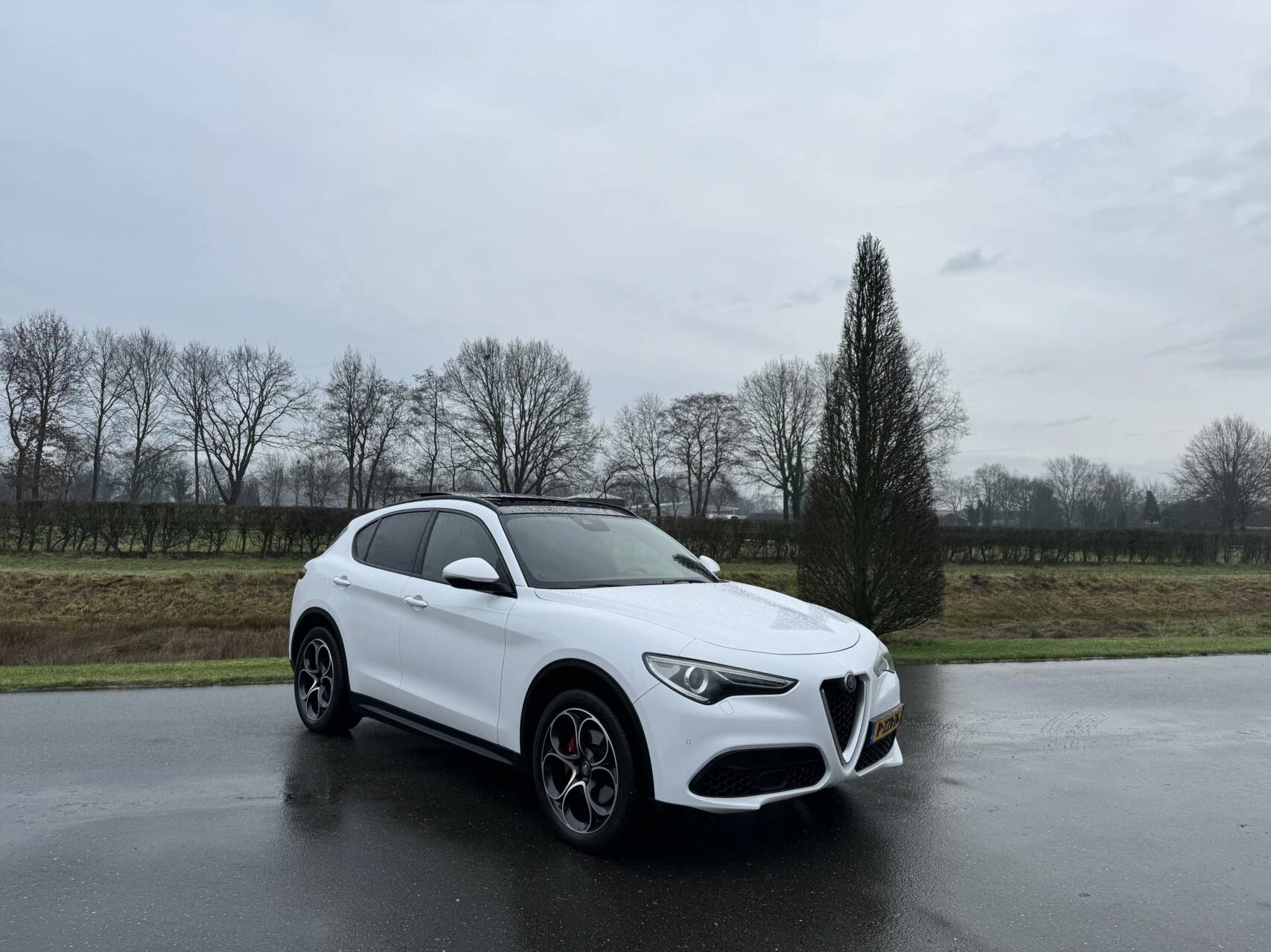 Hoofdafbeelding Alfa Romeo Stelvio