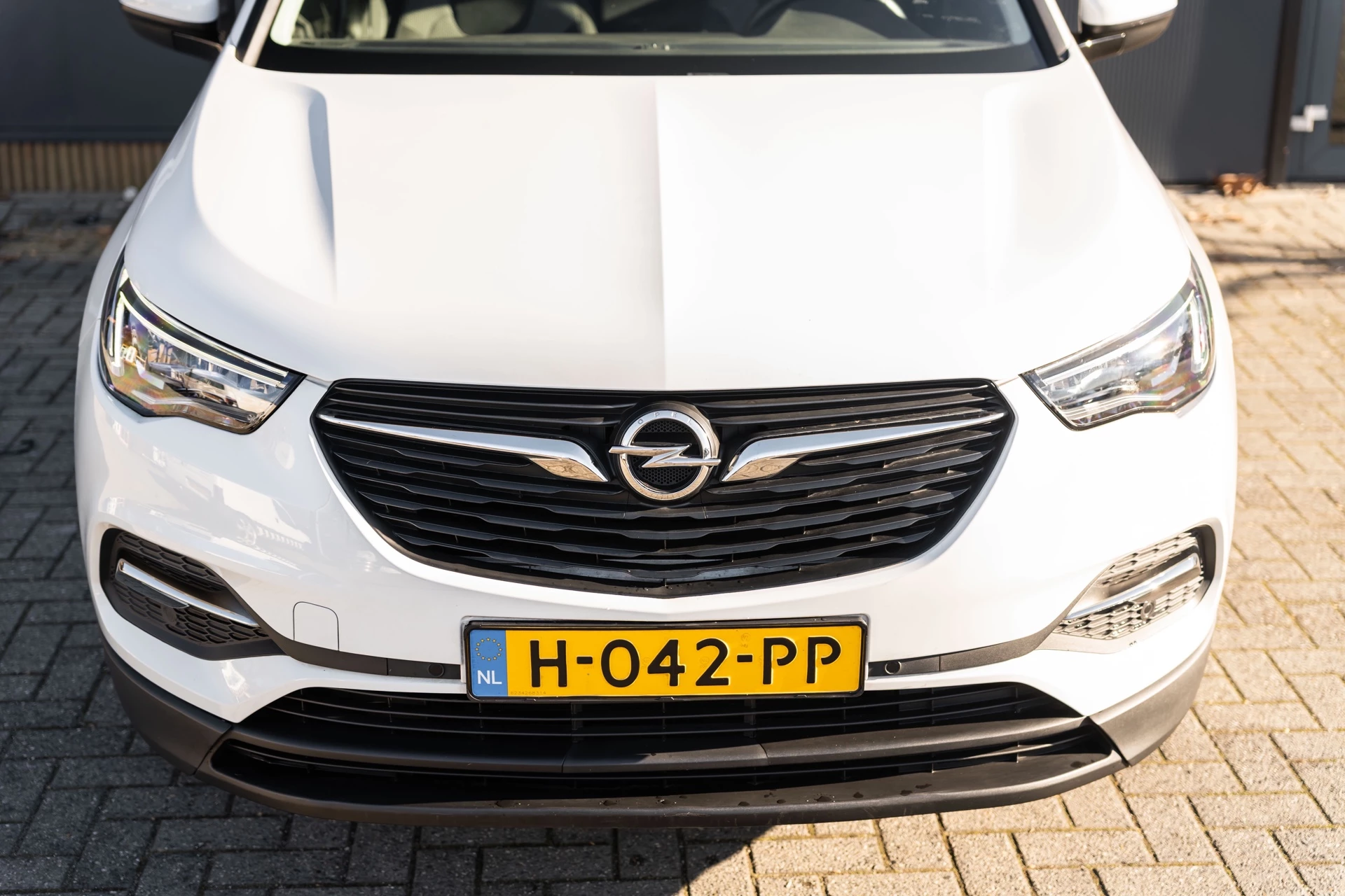 Hoofdafbeelding Opel Grandland X