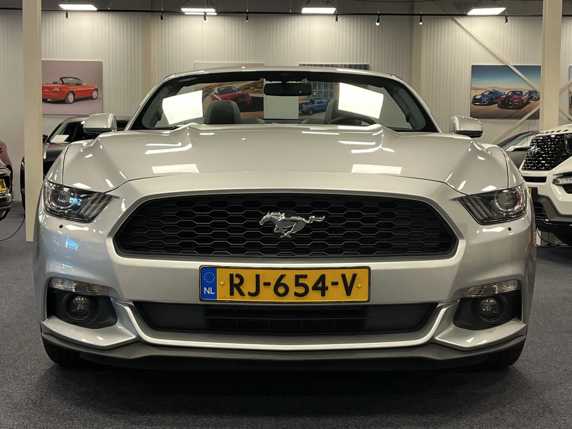 Hoofdafbeelding Ford Mustang