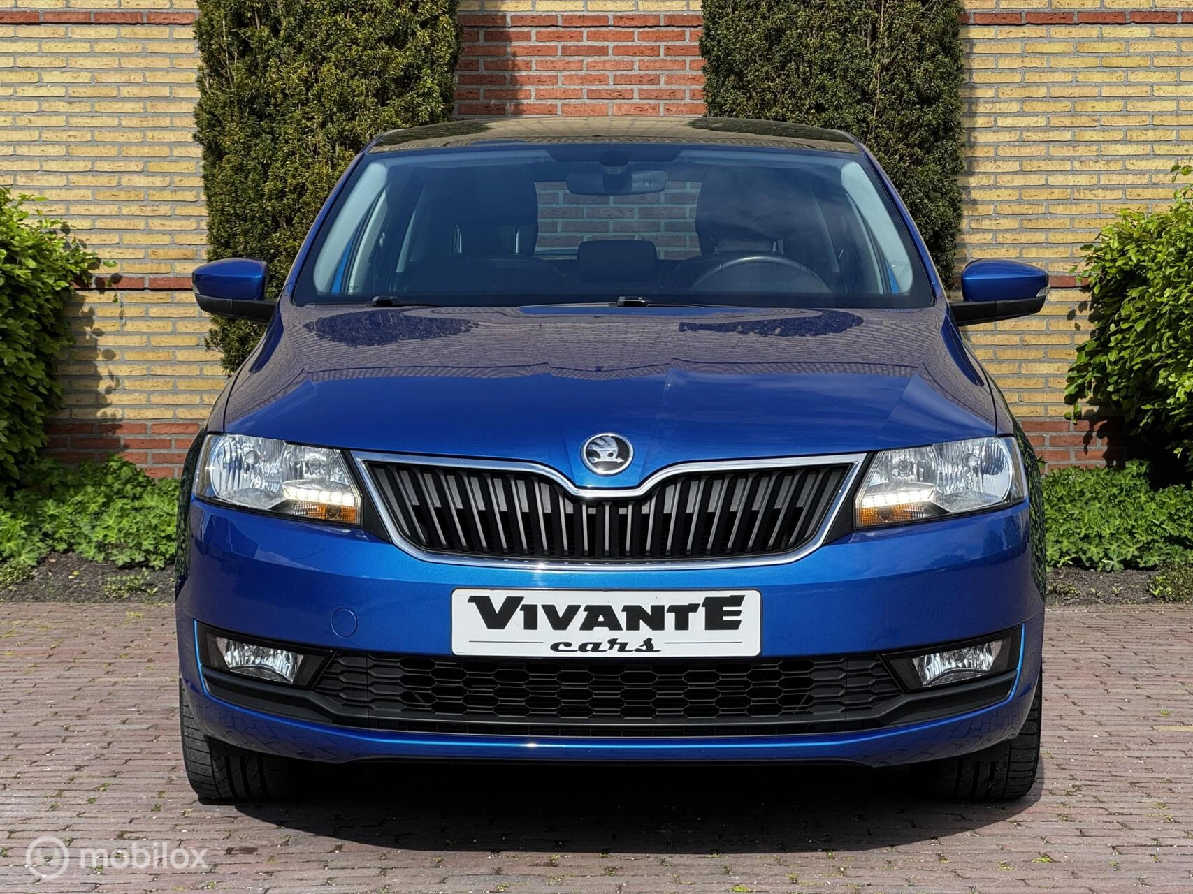 Hoofdafbeelding Škoda Rapid