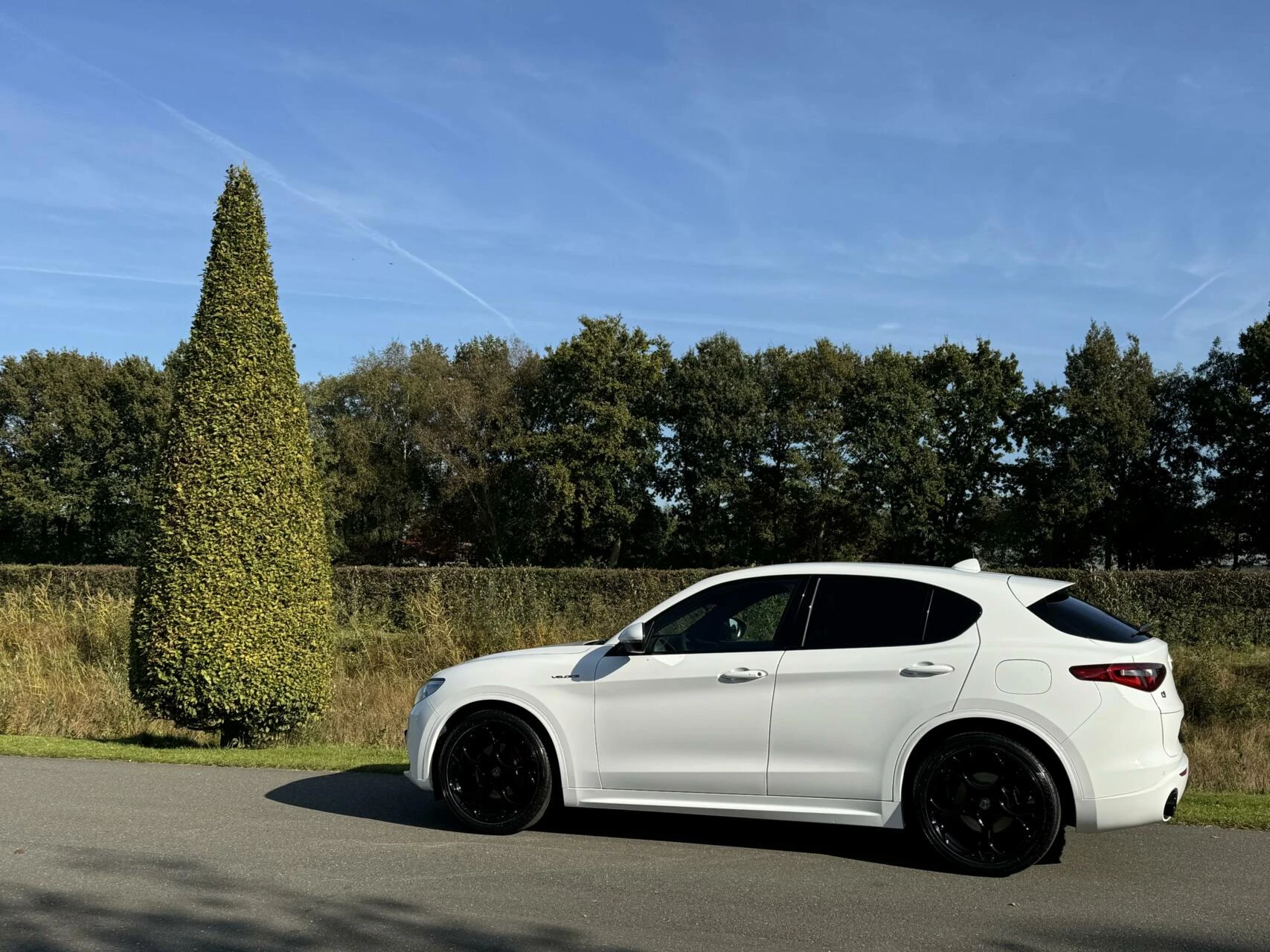 Hoofdafbeelding Alfa Romeo Stelvio