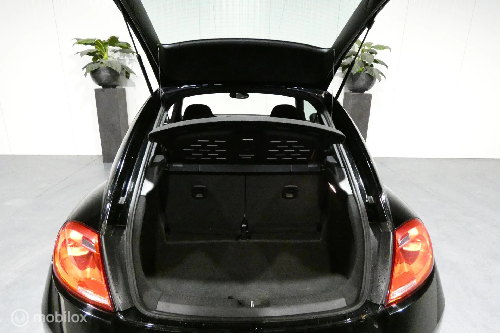 Hoofdafbeelding Volkswagen Beetle